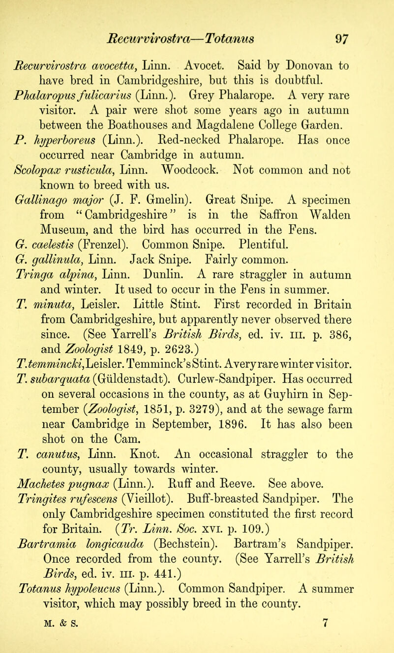 Becurvirostra avocetta^ Linn. Avocet. Said by Donovan to have bred in Cambridgeshire, but this is doubtful. Phalaropus fulicarius (Linn.). Grey Phalarope. A very rare visitor. A pair were shot some years ago in autumn between the Boathouses and Magdalene College Garden. P. hyperboreus (Linn.). Eed-necked Phalarope. Has once occurred near Cambridge in autumn. Scolopax rusticula, Linn. Woodcock. Not common and not known to breed with us. Gallinago major (J. F. Gmelin). Great Snipe. A specimen from “ Cambridgeshire ” is in the Saffron Walden Museum, and the bird has occurred in the Fens. G. caelestis (Frenzel). Common Snipe. Plentiful. G. gallinula, Linn. Jack Snipe. Fairly common. Tringa alpina^ Linn. Dunlin. A rare straggler in autumn and winter. It used to occur in the Fens in summer. T. minuta, Leisler. Little Stint. First recorded in Britain from Cambridgeshire, but apparently never observed there since. (See Yarrell’s British Birds, ed. iv. in. p. 386, and Zoologist 1849, p. 2623.) T. Leisler. Temminck’s Stint. Avery rare winter visitor. T. suharquata (Giildenstadt). Curlew-Sandpiper. Has occurred on several occasions in the county, as at Guyhirn in Sep- tember {Zoologist, 1851, p. 3279), and at the sewage farm near Cambridge in September, 1896. It has also been shot on the Cam. T. canutus, Linn. Knot. An occasional straggler to the county, usually towards winter. Machetes pugnax (Linn.). Buff and Beeve. See above. Tringites rufescens (Vieillot). Buff-breasted Sandpiper. The only Cambridgeshire specimen constituted the first record for Britain. {Tr. Linn. Soc. xvi. p. 109.) Bartramia longicauda (Bechstein). Bartram’s Sandpiper. Once recorded from the county. (See YarrelPs British Birds, ed. iv. m. p. 441.) Totanus hypoleucus (Linn.). Common Sandpiper. A summer visitor, which may possibly breed in the county. M. & S. 7