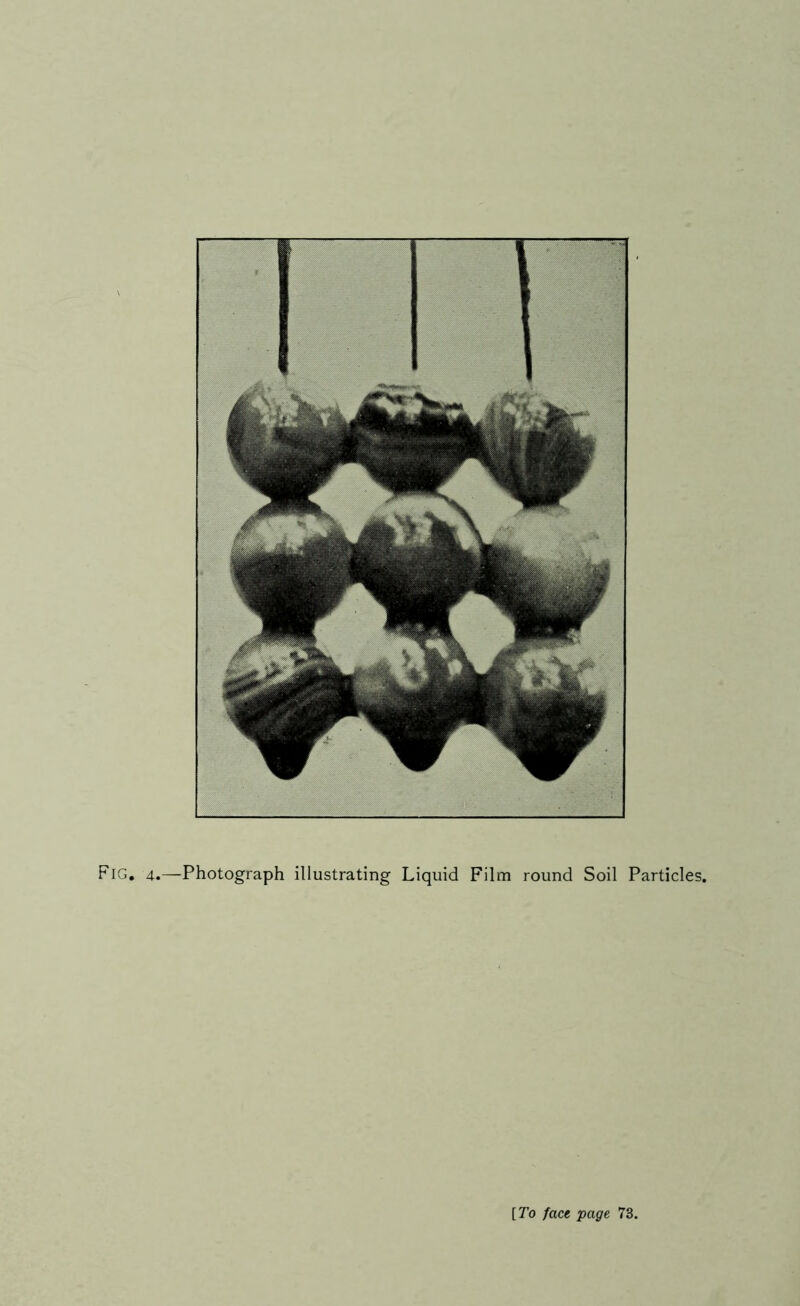 Fig. 4.—Photograph illustrating Liquid Film round Soil Particles.