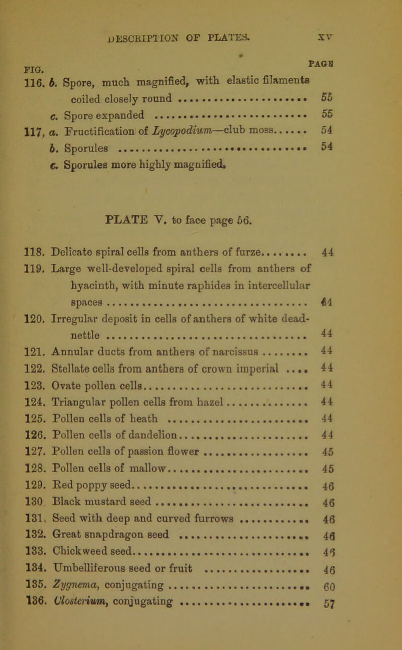 116, b. Spore, much magnified, with elastic filaments coiled closely round 55 c. Spore expanded 55 117, <*• Fructification of lycopodium—club moss...... 64 b. Sporules 54 C. Sporules more highly magnified. PLATE V. to face page 56. 118. Delicate spiral cells from anthers of furze 44 119. Large well-developed spiral cells from anthers of hyacinth, with minute raphides in intercellular spaces 414 120. Irregular deposit in cells of anthers of white dead- nettle 14 121. Annular ducts from anthers of narcissus 44 122. Stellate cells from anthers of crown imperial .... 44 123. Ovate pollen cells 44 124. Triangular pollen cells from hazel 44 125. Pollen cells of heath 44 126. Pollen cells of dandelion 44 127. Pollen cells of passion flower 45 128. Pollen cells of mallow 45 129. Bed poppy seed 46 130 Black mustard seed 46 131. Seed with deep and curved furrows 46 132. Great snapdragon seed 46 133. Chick weed seed 46 134. Umbelliferous seed or fruit 46 135. Zygnema, conjugating 60