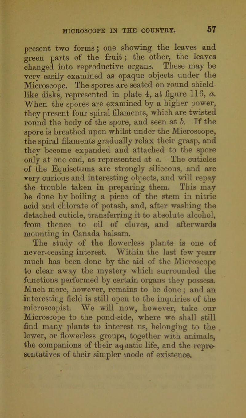 present two forms; one showing the leaves and green parts of the fruit; the other, the leaves changed into reproductive organs. These may be very easily examined as opaque objects under the Microscope. The spores are seated on round shield- like disks, represented in plate 4, at figure 116, a. When the spores are examined by a higher power, they present four spiral filaments, which are twisted round the body of the spore, and seen at b. If the spore is breathed upon whilst under the Microscope, the spiral filaments gradually relax their grasp, and they become expanded and attached to the spore only at one end, as represented at c. The cuticles of the Equisetums are strongly siliceous, and are very curious and interesting objects, and will repay the trouble taken in preparing them. This may be done by boiling a piece of the stem in nitric acid and chlorate of potash, and, after washing the detached cuticle, ti’ansferring it to absolute alcohol, from thence to oil of cloves, and afterwards mounting in Canada balsam. The study of the flowerless plants is one of never-ceasing interest. Within the last few years much has been done by the aid of the Microscope to clear away the mystery which surrounded the functions performed by certain organs they possess. Much more, however, remains to be done; and an interesting field is still open to the inquiries of the microscopist. We will now, however, take our Microscope to the pond-side, where we shall still find many plants to interest us, belonging to the lower, or flowerless groups, together with animals, the companions of their aquatic life, and the repre- sentatives of their simpler mode of existence.