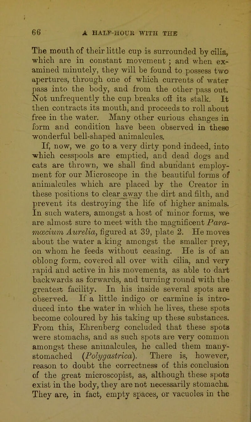 The mouth of their little cup is surrounded by cilia, which are in constant movement; and when ex- amined minutely, they will be found to possess two apertures, through one of which currents of water pass into the body, and from the other pass out. Not unfrequently the cup breaks off its stalk. It then contracts its mouth, and proceeds to roll about free in the water. Many other curious changes in form and condition have been observed in these wondei’ful bell-shaped animalcules. If, now, we go to a very dirty pond indeed, into which cesspools are emptied, and dead dogs and cats are thrown, we shall find abundant employ- ment for our Microscope in the beautiful forms of animalcules which are placed by the Creator in these positions to clear away the dirt and filth, and prevent its destroying the life of higher animals. In such waters, amongst a host of minor forms, we are almost sure to meet with the magnificent Para- mcecium Aurelia, figured at 39, plate 2. He moves about the water a king amongst the smaller prey, on whom he feeds without ceasing. He is of an oblong form, covered all over with cilia, and very rapid and active in his movements, as able to dart backwards as forwards, and turning round with the greatest facility. In his inside several spots are observed. If a little indigo or cai’inine is intro- duced into the water in which he lives, these spots become coloured by his taking up these substances. From this, Ehrenberg concluded that these spots were stomachs, and as such spots are very common amongst these animalcules, he called them many- stomached (Polygastrica). There is, however, reason to doubt the coiTectness of this conclusion of the great microscopist, as, although these spots exist in the body, they are not necessarily stomachs. They are, in fact, empty spaces, or vacuoles in the