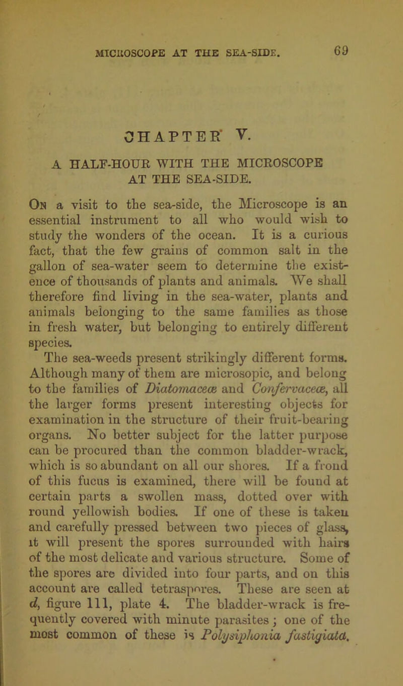 CHAPTER' y. A HALF-HOUR WITH THE MICROSCOPE AT THE SEA-SIDE. On a visit to the sea-side, the Microscope is an essential instrument to all who would wish to study the wonders of the ocean. It is a curious fact, that the few grains of common salt in the gallon of sea-water seem to determine the exist- ence of thousands of plants and animals. We shall therefore find living in the sea-water, plants and animals belonging to the same families as those in fresh water, but belonging to entirely different species. The sea-weeds present strikingly different forms. Although many of them are microsopic, and belong to the families of Diatomacece and Confervacece, all the larger forms present interesting objects for examination in the structure of their fruit-bearing organs. No better subject for the latter purpose can be pi’ocured than the common bladder-wrack, which is so abundant on all our shores. If a frond of this fucus is examined, there will be found at certain parts a swollen mass, dotted over with round yellowish bodies. If one of these is taken and carefully pressed between two pieces of glass, it will present the spores surrounded with hairs of the most delicate and various structure. Some of the spores are divided into four parts, and on this account are called tetraspnres. These are seen at cl, figure 111, plate 4. The bladder-wrack is fre- quently covered with minute parasites; one of the most common of these is Polysiphoaia fastigiald.