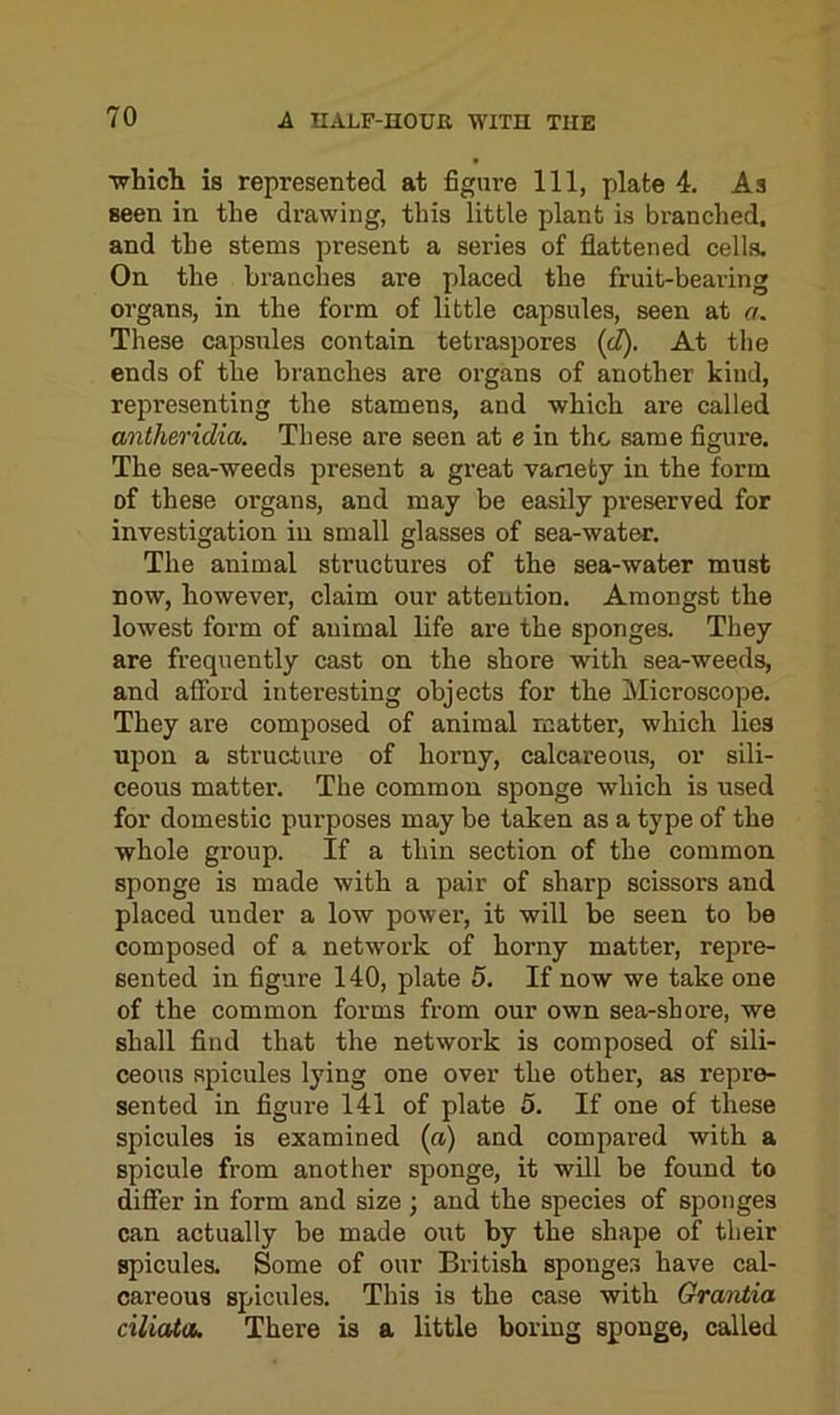 ■which is represented at figure 111, plate 4. As seen in the drawing, this little plant is bx-anched. and the stems present a sei’ies of flattened cells. On the blanches are placed the fruit-bearing organs, in the form of little capsules, seen at a. These capsules contain tetraspores {<!). At the ends of the branches are organs of another kind, representing the stamens, and which ai’e called antheridia. These are seen at e in the same figure. The sea-weeds present a great variety in the form of these organs, and may be easily preserved for investigation in small glasses of sea-water. The animal structures of the sea-water must now, however, claim our attention. Amongst the lowest form of animal life are the sponges. They are frequently cast on the shore with sea-weeds, and afford interesting objects for the Microscope. They are composed of animal matter, which lies upon a structure of horny, calcareous, or sili- ceous matter. The common sponge which is used for domestic purposes may be taken as a type of the whole group. If a thin section of the common sponge is made with a pair of sharp scissors and placed under a low power, it will be seen to be composed of a netwoi'k of horny matter, repre- sented in figure 140, plate 5. If now we take one of the common forms from our own sea-shore, we shall find that the network is composed of sili- ceous spicules lying one over the other, as repre- sented in figui-e 141 of plate 5. If one of these spicules is examined (a) and compared with a spicule from another sponge, it will be found to differ in form and size ; and the species of sponges can actually be made oixt by the shape of their spicules. Some of our British sponges have cal- careous spicules. This is the case with Grantia ciliata. There is a little boring sponge, called