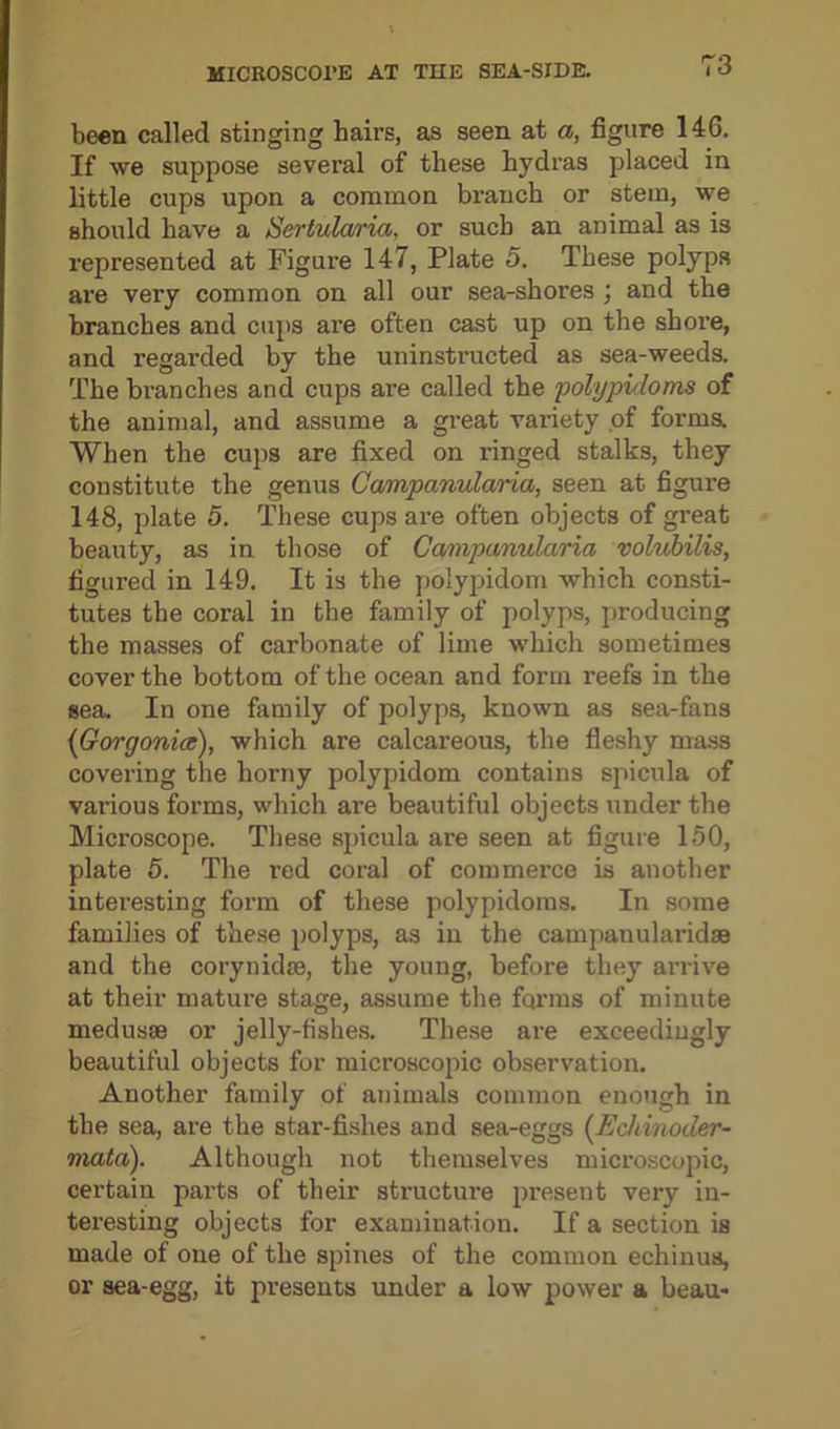 been called stinging hairs, as seen at a, figure 146. If we suppose several of these hydras placed in little cups upon a common brauch or stem, we should have a Sertularia, or such an animal as is represented at Figure 147, Plate 5. These polyps are very common on all our sea-shores ; and the branches and cups ai'e often cast up on the shore, and regarded by the uninstructed as sea-weeds. The branches and cups are called the polypidoms of the animal, and assume a great variety of forms. When the cups are fixed on ringed stalks, they constitute the genus Campanularia, seen at figure 148, plate 5. These cups are often objects of great beauty, as in those of Campanularia volubilis, figured in 149. It is the polypidom which consti- tutes the coral in the family of polyps, producing the masses of carbonate of lime which sometimes cover the bottom of the ocean and form reefs in the sea. In one family of polyps, known as sea-fans (Gorgonice), which are calcareous, the fleshy mass covering the horny polypidom contains spicula of various forms, which are beautiful objects under the Microscope. These spicula are seen at figure 150, plate 5. The r’ed coral of commerce is another interesting form of these polypidoms. In some families of these polyps, as in the campanularidse and the corynidae, the young, before they arrive at their mature stage, assume the forms of minute medusae or jelly-fishes. These ai-e exceedingly beautiful objects for microscopic observation. Another family of animals common enough in the sea, are the star-fishes and sea-eggs (Echinoder- mata). Although not themselves microscopic, certain parts of their structure present very in- teresting objects for examination. If a section is made of one of the spines of the common echinus, or sea-egg, it presents under a low power a beau*