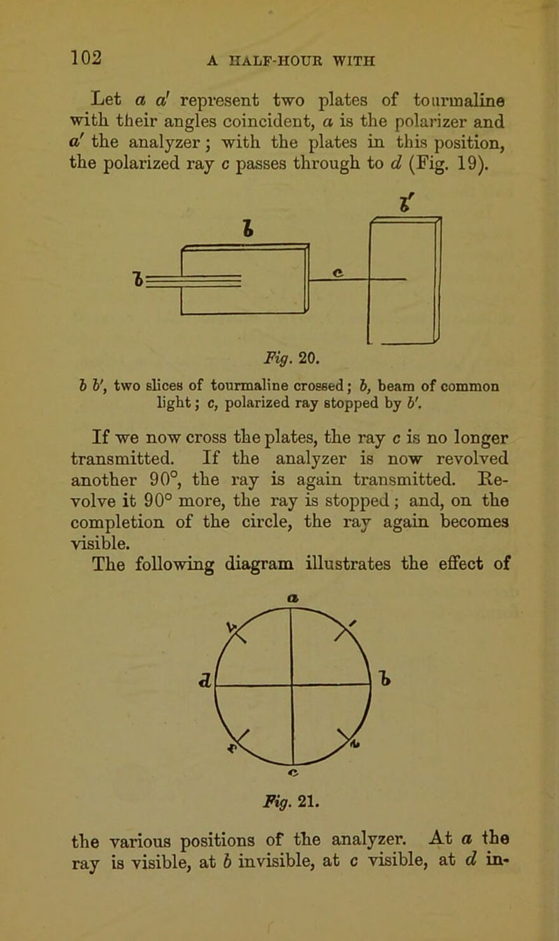 Let a a! represent two plates of tourmaline with their angles coincident, a is the polarizer and a' the analyzer; with the plates in this position, the polarized ray c passes through to d (Fig. 19). I Fig. 20. b b', two slices of tourmaline crossed; b, beam of common light; c, polarized ray stopped by b'. If we now cross the plates, the ray c is no longer transmitted. If the analyzer is now revolved another 90°, the ray is again transmitted. Re- volve it 90° more, the ray is stopped; and, on the completion of the circle, the ray again becomes visible. The following diagram illustrates the effect of C Fig. 21. the various positions of the analyzer. At a the ray is visible, at b invisible, at c visible, at d in-
