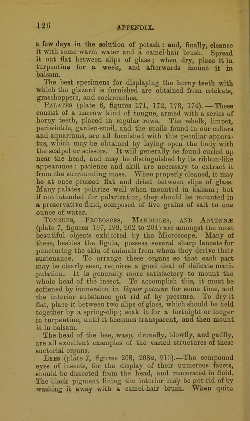 a few days in the solution of potash : and, finally, cleanse it with some warm water and a camel-hair brush. Spread it out flat between slips of glass ; when dry, place it in turpentine for a week, and afterwards mount it in balsam. The best specimens for displaying the horny teeth with which the gizzard is furnished are obtained from crickets, grasshoppers, and cockroaches. Palates (plate 6, figures 171, 172, 173, 174).—These consist of a narrow kind of tongue, armed with a series of horny teeth, placed in regular rows. The whelk, limpet, periwinkle, garden-snail, and the snails found in our cellars and aquariums, are all furnished with this peculiar appara- tus, which may be obtained by laying open the body with the scalpel or scissors. It will generally be found curled up near the head, and may be distinguished by its ribbon-like appearance: patience and skill are necessary to extract it from the surrounding mass. When properly cleaned, it may be at once pressed flat and dried between slips of glass. Many palates polarize well when mounted in balsam; but if not intended for polarization, they should be mounted in a preservative fluid, composed of five grains of salt to one ounce of water. Tongues, Pkobosces, Mandibles, and Antenn.zb (plate 7, figures 197, 199, 202 to 204) are amongst the most beautiful objects exhibited by the Microscope. Many of these, besides the ligula, possess several sharp lancets for puncturing the skin of animals from whom they derive their sustenance. To arrange these organs so that each part may be clearly seen, requires a good deal of delicate mani- pulation. It is generally more satisfactory to mount the whole head of the insect. To accomplish this, it must be softened by immersion in liquor potassce for some time, and the interior substance got rid of by pressure. To dry it flat, place it between two slips of glass, which should be held together by a spring-clip ; soak it for a fortnight or longer in turpentine, until it becomes transparent, and then mount it in balsam. The head of the bee, wasp, dronefly, blowfly, and gadfly, are all excellent examples of the varied structures of these suctorial organs. Eyes (plate 7, figures 208, 208a, 210).—The compound eyes of insects, for the display of their numerous facets, should be dissected from the head, and macerated in fluid. The black pigment lining the interior may be got rid of by washing it away with a camel-hair brush. When quite