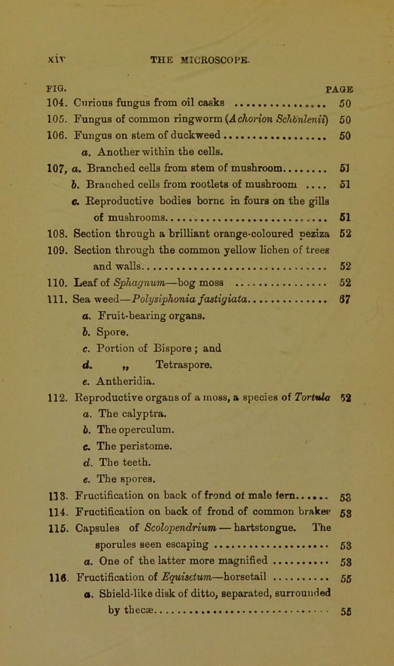 FIG. PAGE 104. Curious fungus from oil casks 50 105. Fungus of common ringworm (A chorion SchVnlenii) 50 106. Fungus on stem of duckweed 50 a. Another within the cells. 107. a. Branched cells from stem of mushroom 51 b. Branched cells from rootlets of mushroom .... 51 C. Reproductive bodies borne in fours on the gills of mushrooms 51 108. Section through a brilliant orange-coloured peziza 52 109. Section through the common yellow lichen of trees and walls 52 110. Leaf of Sphagnum,—bog moss 52 111. Seaweed—Polysiphoniafastigiata, 67 а. Fruit-bearing organs. б. Spore. c. Portion of Bispore; and d. „ Tetraspore. e. Antheridia. 112. Reproductive organs of a moss, a species of Tortnla 52 а. The calyptra. б. The operculum. c. The peristome. d. The teeth. e. The spores. 113- Fructification on back of frond of male fern 53 114. Fructification on back of frond of common brake? 53 115. Capsules of Scolopendrium — hartstongue. The sporules seen escaping 53 a. One of the latter more magnified 53 116. Fructification of Equisetum—horsetail 55 a. Shield-like disk of ditto, separated, surrounded by thee® 55