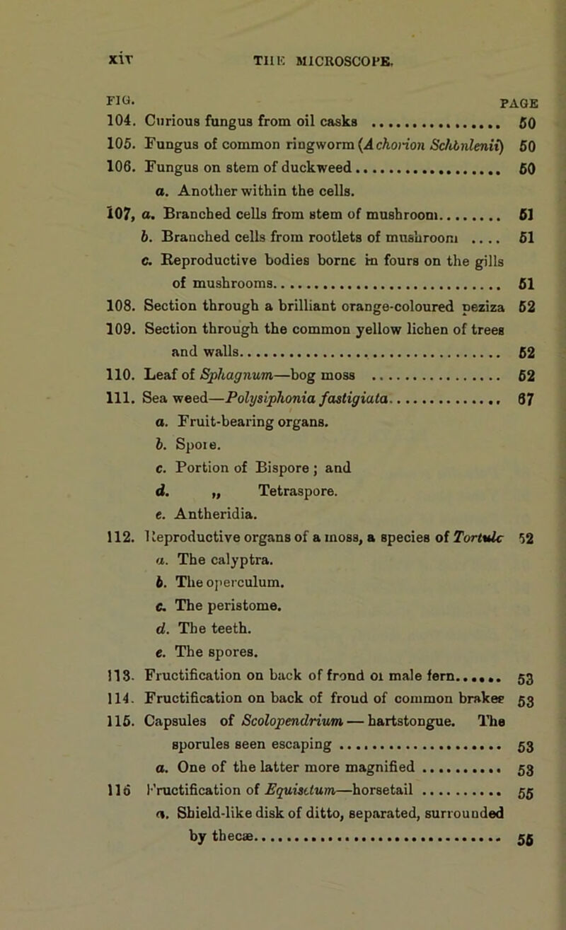 r10- PAGE 104. Curious fungus from oil casks 50 105. Fungus of common ringworm {A chorion Schtnlenii) 50 106. Fungus on stem of duckweed 50 a. Another within the cells. 107. a. Branched cells from stem of mushroom 61 b. Branched cells from rootlets of mushroom .... 51 c. Reproductive bodies borne in fours on the gills of mushrooms 51 108. Section through a brilliant orange-coloured peziza 52 109. Section through the common yellow lichen of trees and walls , 62 110. Leaf of Sphagnum—bog moss 62 111. Seaweed—Polysiphoniafastigiula 67 a. Fruit-bearing organs. b. Spoie. c. Portion of Bispore; and d. „ Tetraspore. e. Antheridia. 112. 1 reproductive organs of a moss, a species of Tortulc 52 а. The calyptra. б. The operculum. C. The peristome. d. The teeth. e. The spores. 113. Fructification on back of frond oi male fern 53 114. Fructification on back of frond of common brakee 53 115. Capsules of Scolopendrium — hartstongue. The sporules seen escaping 53 a. One of the latter more magnified 53 lid Fructification of Equisituin—horsetail 55 (%. Shield-like disk of ditto, separated, surrounded by thefts 26