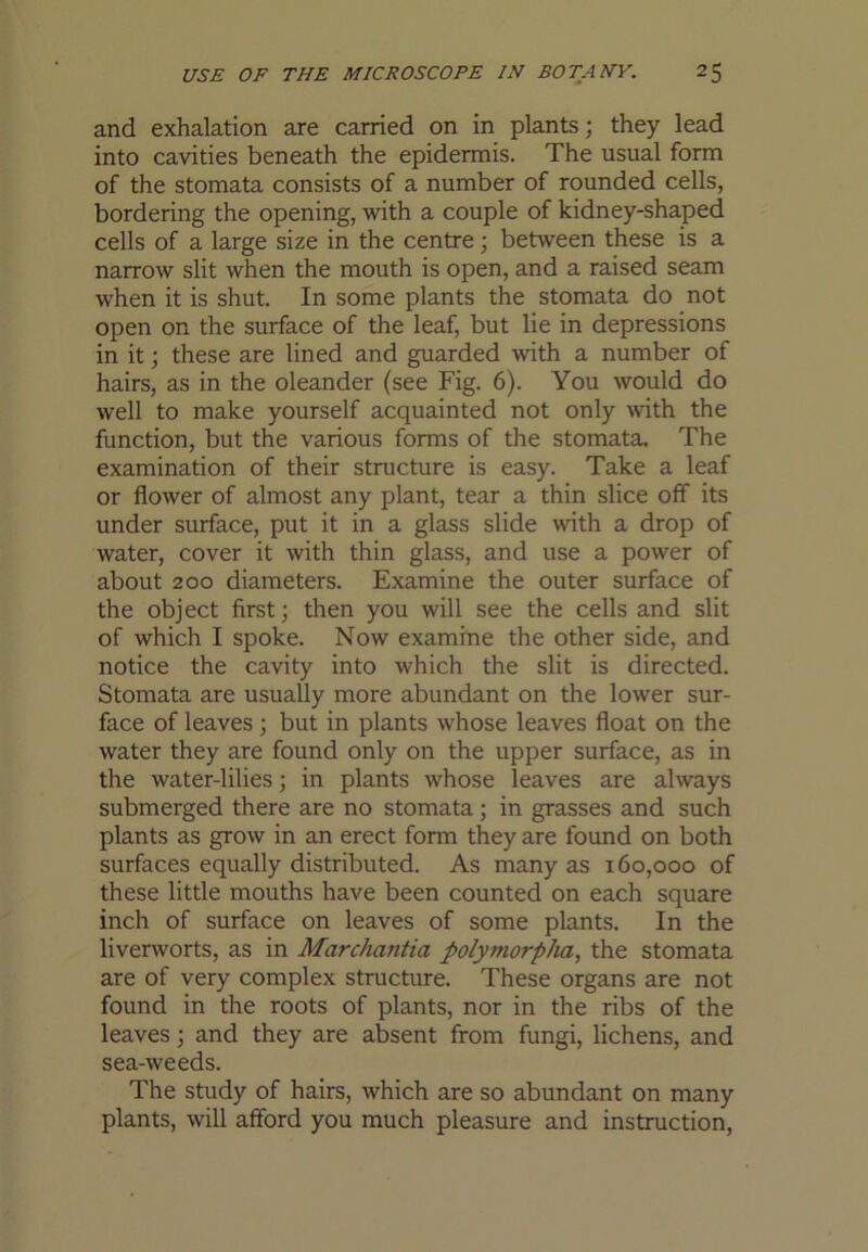 and exhalation are carried on in plants; they lead into cavities beneath the epidermis. The usual form of the stomata consists of a number of rounded cells, bordering the opening, with a couple of kidney-shaped cells of a large size in the centre; between these is a narrow slit when the mouth is open, and a raised seam when it is shut. In some plants the stomata do not open on the surface of the leaf, but lie in depressions in it; these are lined and guarded with a number of hairs, as in the oleander (see Fig. 6). You would do well to make yourself acquainted not only with the function, but the various forms of the stomata. The examination of their structure is easy. Take a leaf or flower of almost any plant, tear a thin slice off its under surface, put it in a glass slide with a drop of water, cover it with thin glass, and use a power of about 200 diameters. Examine the outer surface of the object first; then you will see the cells and slit of which I spoke. Now examine the other side, and notice the cavity into which the slit is directed. Stomata are usually more abundant on the lower sur- face of leaves; but in plants whose leaves float on the water they are found only on the upper surface, as in the water-lilies; in plants whose leaves are always submerged there are no stomata; in grasses and such plants as grow in an erect form they are found on both surfaces equally distributed. As many as 160,000 of these little mouths have been counted on each square inch of surface on leaves of some plants. In the liverworts, as in Marchantia polymorpha., the stomata are of very complex structure. These organs are not found in the roots of plants, nor in the ribs of the leaves; and they are absent from fungi, lichens, and sea-weeds. The study of hairs, which are so abundant on many plants, will afford you much pleasure and instruction.