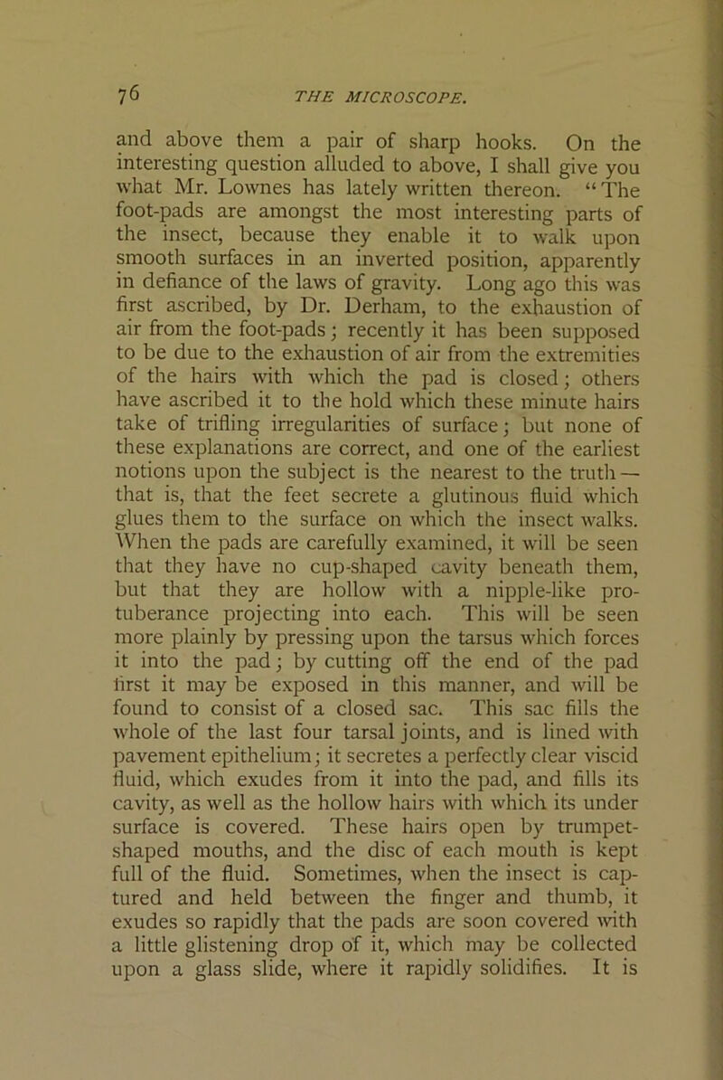 and above them a pair of sharp hooks. On the interesting question alluded to above, I shall give you what Mr. Lownes has lately written thereon. “ The foot-pads are amongst the most interesting parts of the insect, because they enable it to walk upon smooth surfaces in an inverted position, apparently in defiance of the laws of gravity. Long ago this was first ascribed, by Dr. Derham, to the exhaustion of air from the foot-pads; recently it has been supposed to be due to the exhaustion of air from the extremities of the hairs with which the pad is closed; others have ascribed it to the hold which these minute hairs take of trifling irregularities of surface; but none of these explanations are correct, and one of the earliest notions upon the subject is the nearest to the truth — that is, that the feet secrete a glutinous fluid which glues them to the surface on which the insect walks. AVhen the pads are carefully examined, it will be seen that they have no cup-shaped cavity beneath them, but that they are hollow with a nipple-like pro- tuberance projecting into each. This will be seen more plainly by pressing upon the tarsus which forces it into the pad; by cutting off the end of the pad first it may be exposed in this manner, and will be found to consist of a closed sac. This sac fills the whole of the last four tarsal joints, and is lined with pavement epithelium; it secretes a perfectly clear viscid fluid, which exudes from it into the pad, and fills its cavity, as well as the hollow hairs with which its under surface is covered. These hairs open by trumpet- shaped mouths, and the disc of each mouth is kept full of the fluid. Sometimes, when the insect is cap- tured and held between the finger and thumb, it exudes so rapidly that the pads are soon covered mth a little glistening drop of it, which may be collected upon a glass slide, where it rapidly solidifies. It is