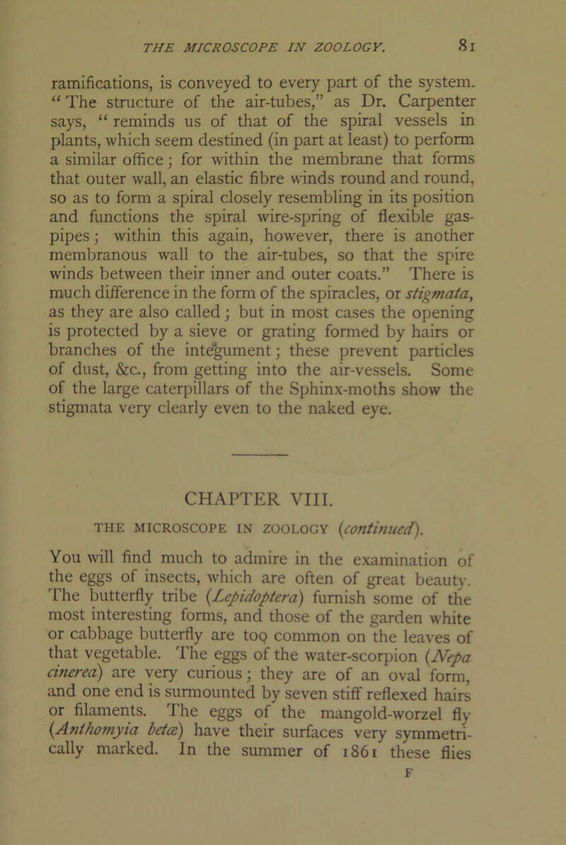 ramifications, is conveyed to every part of the system. “ The structure of the air-tubes,” as Dr, Carpenter says, “ reminds us of that of the spiral vessels in plants, which seem destined (in part at least) to perform a similar office; for within the membrane that forms that outer wall, an elastic fibre winds round and round, so as to form a spiral closely resembling in its position and functions the spiral wire-spring of flexible gas- pipes ; within this again, however, there is another membranous wall to the air-tubes, so that the spire winds between their inner and outer coats.” There is much difference in the form of the spiracles, or stigmata, as they are also called; but in most cases the opening is protected by a sieve or grating formed by hairs or branches of the inte'^ment; these prevent particles of dust, &c., from getting into the air-vessels. Some of the large caterpillars of the Sphinx-moths show the stigmata very clearly even to the naked eye. CHAPTER VIII. THE MICROSCOPE IN ZOOLOGY (continued). You will find much to admire in the examination of the eggs of insects, which are often of great beauty. The butterfly tribe {Lepidoptera) furnish some of the most interesting forms, and those of the garden white or cabbage butterfly are top common on the leaves of that vegetable. The eggs of the water-scorpion {Nepa cinerca) are very curious; they are of an oval form, and one end is surmounted by seven stiff reflexed hairs or filaments. The eggs of the mangold-worzel fly (^Anthomyia betcd) have their surfaces very symmetri- cally marked. In the summer of i86i these flies