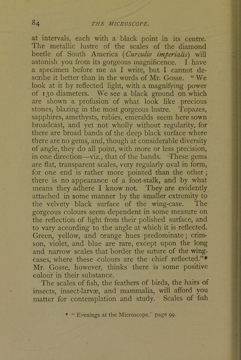 at intervals, each with a black point in its centre. The metallic lustre of the scales of the diamond beetle of South America {Curailio imperialis) will astonish you from its gorgeous magnificence. I have a specimen before me as I write, but I cannot de- scribe it better than in the words of Mr. Gosse. “ We look at it by reflected light, with a magnifying power of 130 diameters. W'e see a black ground on which are shown a profusion of what look like precious stones, blazing in the most gorgeous lustre. Topazes, sapphires, amethysts, rubies, emeralds seem here sown broadcast, and yet not wholly without regularity, for there are broad bands of the deep black surface where there are no gems, and, though at considerable diversity of angle, they do all point, with more or less precision, in one direction—viz., that of the bands. These gems are flat, transparent scales, very regularly oval in form, for one end is rather more pointed than the other ; there is no appearance of a foot-stalk, and by what means they adhere I know not. They are evidently attached in some manner by the smaller extremity to the velvety black surface of the wing-case. The gorgeous colours seem dependent in some measure on the reflection of light from their polished surface, and to vary according to the angle at which it is reflected. Green, yellow, and orange hues predominate; crim- son, violet, and blue are rare, except upon the long and narrow scales that border the suture of the wing- cases, where these colours are the chief reflected.”* Mr. Gosse, however, thinks there is some positive colour in their substance. The scales of fish, the feathers of birds, the hairs of insects, insect-larvae, and mammalia, will afford you matter for contemplation and study. Scales of fish * “ Evenings at the Microscope, page 99.