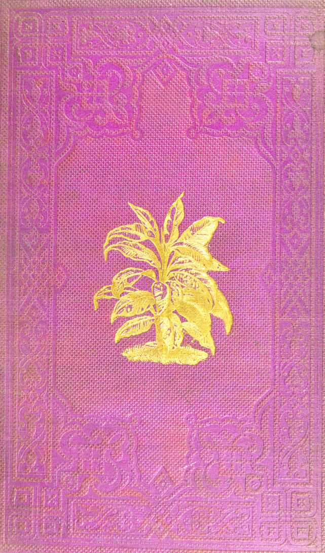 No text description is available for this image