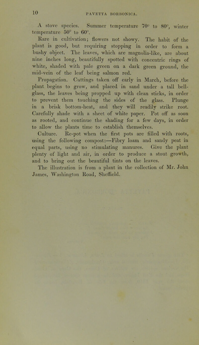 10 A stove species. Summer temperature 70° to 80°, winter temperature 50° to 60°. Rare in cultivation; flowers not showy. The habit of the plant is good, but requiring stopping in order to form a bushy object. The leaves, which are magnolia-like, are about nine inches long, beautifully spotted with concentric rings of white, shaded with pale green on a dark green ground, the mid-vein of the leaf being salmon red. Propagation. Cuttings taken off early in March, before the plant begins to grow, and placed in sand under a tall bell- glass, the leaves being propped up with clean sticks, in order to prevent them touching the sides of the glass. Plunge in a brisk bottom-heat, and they will readily strike root. Carefully shade with a sheet of white paper. Pot off as soon as rooted, and continue the shading for a few days, in order to allow the plants time to establish themselves. Culture. Re-pot when the first pots are filled with roots, using the following compost:—Pibry loam and sandy peat in equal parts, using no stimulating manures. Give the plant plenty of light and air, in order to produce a stout growth, and to bring out the beautiful tints on the leaves. The illustration is from a plant in the collection of Mr. John James, Washington Road, Sheffield.