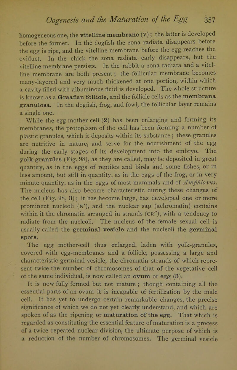 homogeneous one, the vitelline membrane (v); the latter is developed before the former. In the dogfish the zona radiata disappears before the egg is ripe, and the vitelline membrane before the egg reaches the oviduct. In the chick the zona radiata early disappears, but the vitelline membrane persists. In the rabbit a zona radiata and a vitel- line membrane are both present; the follicular membrane becomes many-layered and very much thickened at one portion, within which a cavity filled with albuminous fluid is developed. The whole structure is known as a Graafian follicle, and the follicle cells as the membrana granulosa. In the dogfish, frog, and fowl, the follicular layer remains a single one. While the egg mother-cell (2) has been enlarging and forming its membranes, the protoplasm of the cell has been forming a number of plastic granules, which it deposits within its substance; these granules are nutritive in nature, and serve for the nourishment of the egg during the early stages of its development into the embryo. The yolk-granules (Fig. 98), as they are called, may be deposited in great quantity, as in the eggs of reptiles and birds and some fishes, or in less amount, but still in quantity, as in the eggs of the frog, or in very minute quantity, as in the eggs of most mammals and of Amfthioxus. The nucleus has also become characteristic during these changes of the cell (Fig. 98, 3); it has become large, has developed one or more prominent nucleoli (n'), and the nuclear sap (achromatin) contains within it the chromatin arranged in strands (CR), with a tendency to radiate from the nucleoli. The nucleus of the female sexual cell is usually called the germinal vesicle and the nucleoli the germinal spots. The egg mother-cell thus enlarged, laden with yolk-granules, covered with egg-membranes and a follicle, possessing a large and characteristic germinal vesicle, the chromatin strands of which repre- sent twice the number of chromosomes of that of the vegetative cell of the same individual, is now called an ovum or egg (3). It is now fully formed but not mature; though containing all the essential parts of an ovum it is incapable of fertilization by the male cell. It has yet to undergo certain remarkable changes, the precise significance of which we do not yet clearly understand, and which are spoken of as the ripening or maturation of the egg. That which is regarded as constituting the essential feature of maturation is a process of a twice repeated nuclear division, the ultimate purpose of which is a reduction of the number of chromosomes. The germinal vesicle