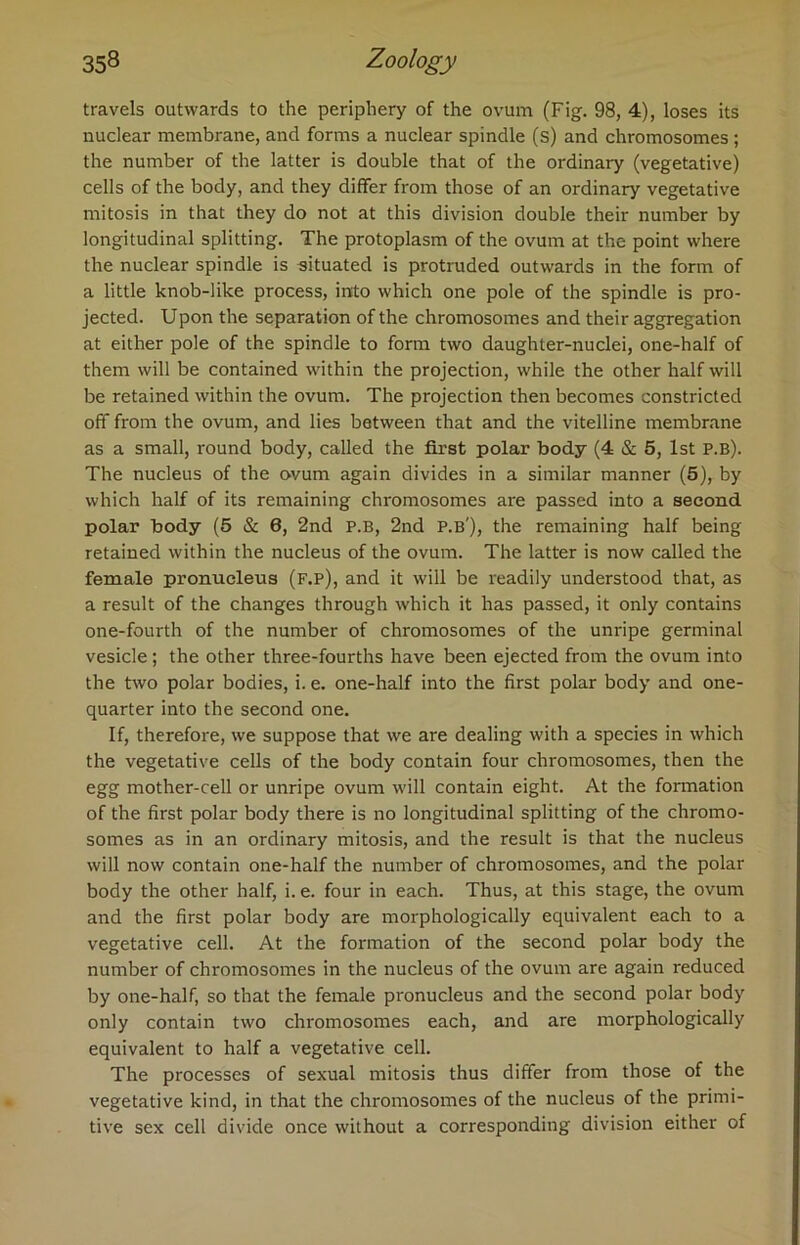 travels outwards to the periphery of the ovum (Fig. 98, 4), loses its nuclear membrane, and forms a nuclear spindle (s) and chromosomes ; the number of the latter is double that of the ordinary (vegetative) cells of the body, and they differ from those of an ordinary vegetative mitosis in that they do not at this division double their number by longitudinal splitting. The protoplasm of the ovum at the point where the nuclear spindle is situated is protruded outwards in the form of a little knob-like process, into which one pole of the spindle is pro- jected. Upon the separation of the chromosomes and their aggregation at either pole of the spindle to form two daughter-nuclei, one-half of them will be contained within the projection, while the other half will be retained within the ovum. The projection then becomes constricted off from the ovum, and lies between that and the vitelline membrane as a small, round body, called the first polar body (4 & 5, 1st P.B). The nucleus of the ovum again divides in a similar manner (5), by which half of its remaining chromosomes are passed into a second polar body (5 & 6, 2nd P.B, 2nd P.B'), the remaining half being retained within the nucleus of the ovum. The latter is now called the female pronucleus (f.p), and it will be readily understood that, as a result of the changes through which it has passed, it only contains one-fourth of the number of chromosomes of the unripe germinal vesicle; the other three-fourths have been ejected from the ovum into the two polar bodies, i. e. one-half into the first polar body and one- quarter into the second one. If, therefore, we suppose that we are dealing with a species in which the vegetative cells of the body contain four chromosomes, then the egg mother-cell or unripe ovum will contain eight. At the formation of the first polar body there is no longitudinal splitting of the chromo- somes as in an ordinary mitosis, and the result is that the nucleus will now contain one-half the number of chromosomes, and the polar body the other half, i. e. four in each. Thus, at this stage, the ovum and the first polar body are morphologically equivalent each to a vegetative cell. At the formation of the second polar body the number of chromosomes in the nucleus of the ovum are again reduced by one-half, so that the female pronucleus and the second polar body only contain two chromosomes each, and are morphologically equivalent to half a vegetative cell. The processes of sexual mitosis thus differ from those of the vegetative kind, in that the chromosomes of the nucleus of the primi- tive sex cell divide once without a corresponding division either of