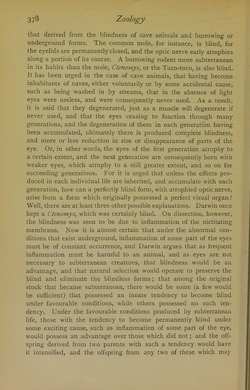that derived from the blindness of cave animals and burrowing or underground forms. The common mole, for instance, is blind, for the eyelids are permanently closed, and the optic nerve early atrophies along a portion of its course. A burrowing rodent more subterranean in its habits than the mole, Ctenomys, or the Tueo-tuco, is also blind. It has been urged in the case of cave animals, that having become inhabitants of caves, either voluntarily or by some accidental cause, such as being washed in by streams, that in the absence of light eyes were useless, and were consequently never used. As a result, it is said that they degenerated, just as a muscle will degenerate if never used, and that the eyes ceasing to function through many generations, and the degeneration of them in each generation having been accumulated, ultimately there is produced complete blindness, and more or less reduction in size or disappearance of parts of the eye. Or, in other words, the eyes of the first generation atrophy to a certain extent, and the next generation are consequently born with weaker eyes, which atrophy to a still greater extent, and so on for succeeding generations. For it is urged that unless the effects pro- duced in each individual life are inherited, and accumulate with each generation, how can a perfectly blind form, with atrophied optic nerve, arise from a form which originally possessed a perfect visual organ ? Well, there are at least three other possible explanations. Darwin once kept a Ctenomys, which was certainly blind. On dissection, however, the blindness was seen to be due to inflammation of the nictitating membrane. Now it is almost certain that under the abnormal con- ditions that exist underground, inflammation of some part of the eyes must be of constant occurrence, and Darwin argues that as frequent inflammation must be harmful to an animal, and as eyes are not necessary to subterranean creatures, that blindness would be an advantage, and that natural selection would operate to preserve the blind and eliminate the blindless forms; that among the original stock that became subterranean, there would be some (a few would be sufficient) that possessed an innate tendency to become blind under favourable conditions, while others possessed no such ten- dency. Under the favourable conditions produced by subterranean life, those with the tendency to become permanently blind under some exciting cause, such as inflammation of some part of the eye, would possess an advantage over those which did not; and the off- spring derived from two parents with such a tendency would have it intensified, and the offspring from any two of these which may