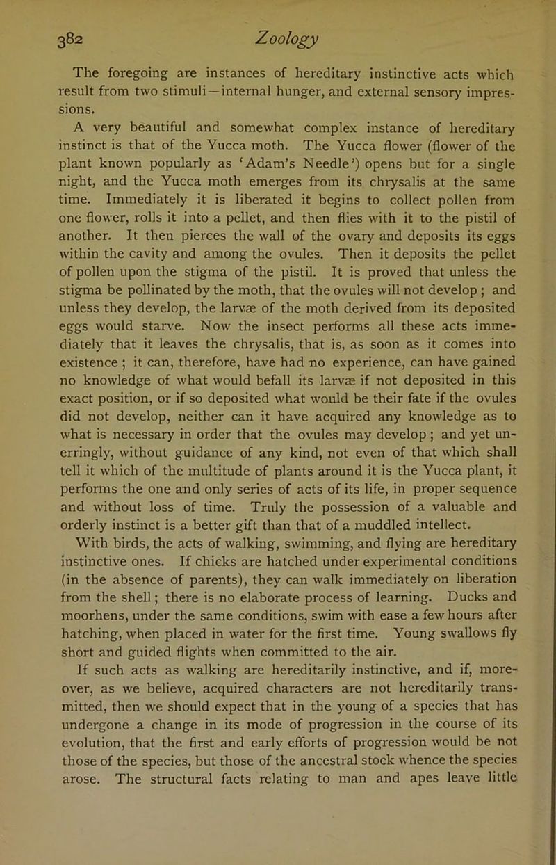 The foregoing are instances of hereditary instinctive acts which result from two stimuli—internal hunger, and external sensory impres- sions. A very beautiful and somewhat complex instance of hereditary instinct is that of the Yucca moth. The Yucca flower (flower of the plant known popularly as ‘Adam’s Needle’) opens but for a single night, and the Yucca moth emerges from its chrysalis at the same time. Immediately it is liberated it begins to collect pollen from one flower, rolls it into a pellet, and then flies with it to the pistil of another. It then pierces the wall of the ovary and deposits its eggs within the cavity and among the ovules. Then it deposits the pellet of pollen upon the stigma of the pistil. It is proved that unless the stigma be pollinated by the moth, that the ovules will not develop ; and unless they develop, the larvae of the moth derived from its deposited eggs would starve. Now the insect performs all these acts imme- diately that it leaves the chrysalis, that is, as soon as it comes into existence ; it can, therefore, have had no experience, can have gained no knowledge of what would befall its larvae if not deposited in this exact position, or if so deposited what would be their fate if the ovules did not develop, neither can it have acquired any knowledge as to what is necessary in order that the ovules may develop; and yet un- erringly, without guidance of any kind, not even of that which shall tell it which of the multitude of plants around it is the Yucca plant, it performs the one and only series of acts of its life, in proper sequence and without loss of time. Truly the possession of a valuable and orderly instinct is a better gift than that of a muddled intellect. With birds, the acts of walking, swimming, and flying are hereditary instinctive ones. If chicks are hatched under experimental conditions (in the absence of parents), they can walk immediately on liberation from the shell; there is no elaborate process of learning. Ducks and moorhens, under the same conditions, swim with ease a few hours after hatching, when placed in water for the first time. Young swallows fly short and guided flights when committed to the air. If such acts as walking are hereditarily instinctive, and if, more- over, as we believe, acquired characters are not hereditarily trans- mitted, then we should expect that in the young of a species that has undergone a change in its mode of progression in the course of its evolution, that the first and early efforts of progression would be not those of the species, but those of the ancestral stock whence the species arose. The structural facts relating to man and apes leave little