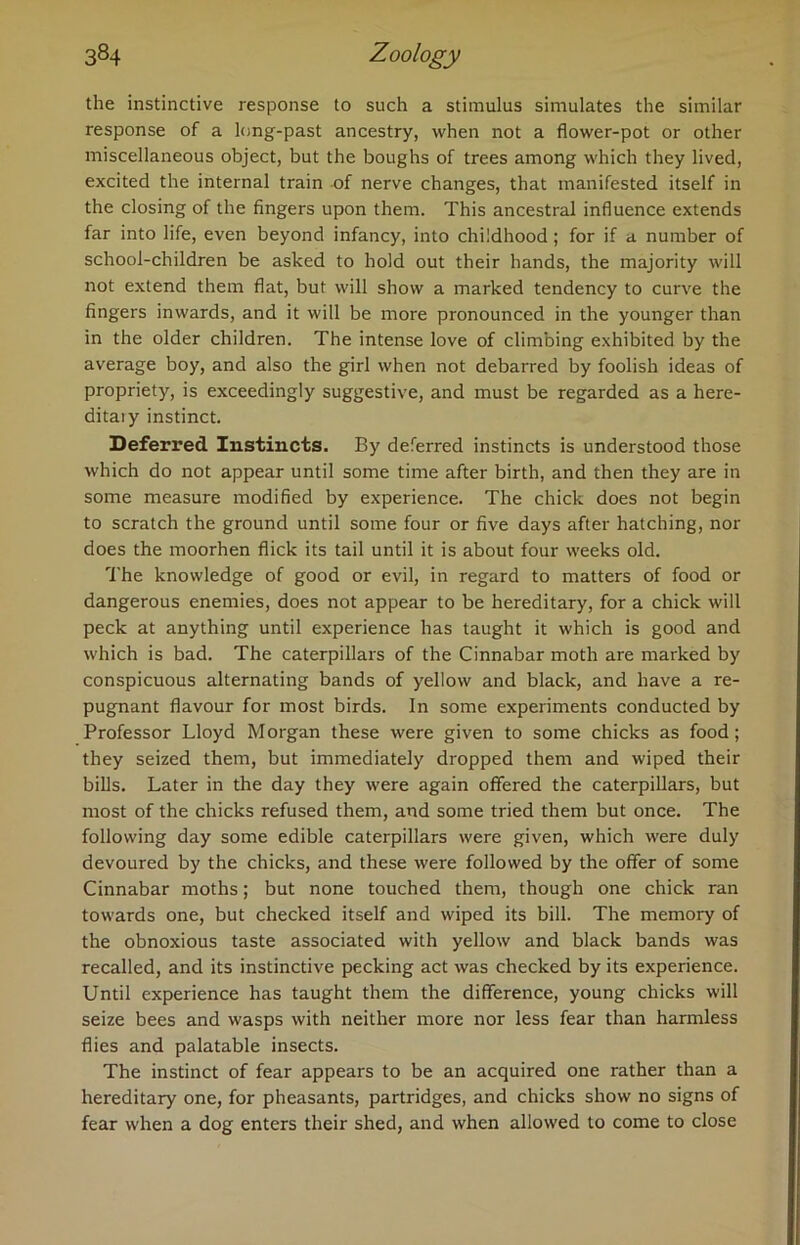 the instinctive response to such a stimulus simulates the similar response of a long-past ancestry, when not a flower-pot or other miscellaneous object, but the boughs of trees among which they lived, excited the internal train of nerve changes, that manifested itself in the closing of the fingers upon them. This ancestral influence extends far into life, even beyond infancy, into childhood; for if a number of school-children be asked to hold out their hands, the majority will not extend them flat, but will show a marked tendency to curve the fingers inwards, and it will be more pronounced in the younger than in the older children. The intense love of climbing exhibited by the average boy, and also the girl when not debarred by foolish ideas of propriety, is exceedingly suggestive, and must be regarded as a here- ditaiy instinct. Deferred Instincts. By deferred instincts is understood those which do not appear until some time after birth, and then they are in some measure modified by experience. The chick does not begin to scratch the ground until some four or five days after hatching, nor does the moorhen flick its tail until it is about four weeks old. The knowledge of good or evil, in regard to matters of food or dangerous enemies, does not appear to be hereditary, for a chick will peck at anything until experience has taught it which is good and which is bad. The caterpillars of the Cinnabar moth are marked by conspicuous alternating bands of yellow and black, and have a re- pugnant flavour for most birds. In some experiments conducted by Professor Lloyd Morgan these were given to some chicks as food; they seized them, but immediately dropped them and wiped their bills. Later in the day they were again offered the caterpillars, but most of the chicks refused them, and some tried them but once. The following day some edible caterpillars were given, which were duly devoured by the chicks, and these were followed by the offer of some Cinnabar moths; but none touched them, though one chick ran towards one, but checked itself and wiped its bill. The memory of the obnoxious taste associated with yellow and black bands was recalled, and its instinctive pecking act was checked by its experience. Until experience has taught them the difference, young chicks will seize bees and wasps with neither more nor less fear than harmless flies and palatable insects. The instinct of fear appears to be an acquired one rather than a hereditary one, for pheasants, partridges, and chicks show no signs of fear when a dog enters their shed, and when allowed to come to close