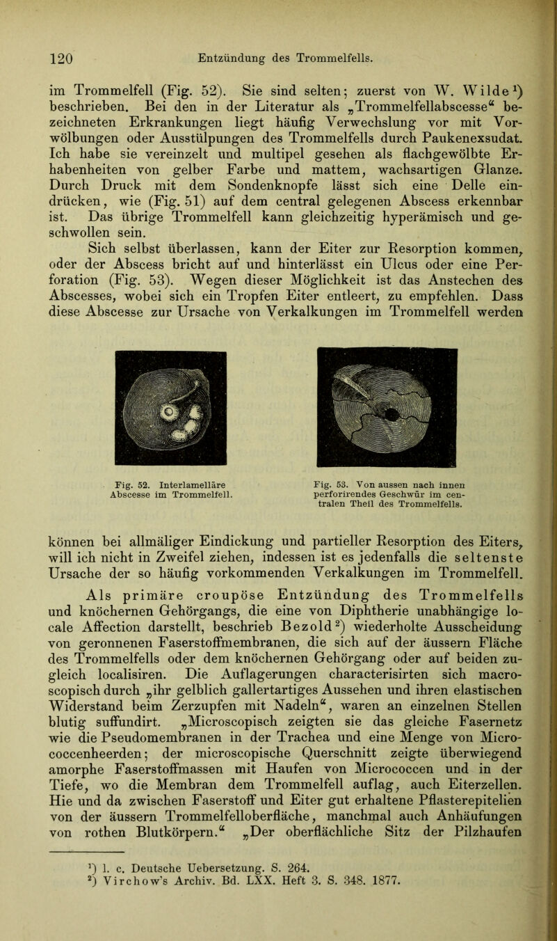 im Trommelfell (Fig. 52). Sie sind selten; zuerst von W. Wilde1) beschrieben. Bei den in der Literatur als „Trommelfellabscesse“ be- zeichn eten Erkrankungen liegt häufig Verwechslung vor mit Vor- wölbungen oder Ausstülpungen des Trommelfells durch Paukenexsudat. Ich habe sie vereinzelt und multipel gesehen als flach gewölbte Er- habenheiten von gelber Farbe und mattem, wachsartigen Glanze. Durch Druck mit dem Sondenknopfe lässt sich eine Delle ein- drücken, wie (Fig. 51) auf dem central gelegenen Abscess erkennbar ist. Das übrige Trommelfell kann gleichzeitig hyperämisch und ge- schwollen sein. Sich selbst überlassen, kann der Eiter zur Resorption kommen, oder der Abscess bricht auf und hinterlässt ein Ulcus oder eine Per- foration (Fig. 53). Wegen dieser Möglichkeit ist das Anstechen des Abscesses, wobei sich ein Tropfen Eiter entleert, zu empfehlen. Dass diese Abscesse zur Ursache von Verkalkungen im Trommelfell werden Fig. 52. Interlamelläre Abscesse im Trommelfell. Fig. 53. Von aussen nach innen perforirendes Geschwür im cen- tralen Theil des Trommelfells. können bei allmäliger Eindickung und partieller Resorption des Eiters, will ich nicht in Zweifel ziehen, indessen ist es jedenfalls die seltenste Ursache der so häufig vorkommenden Verkalkungen im Trommelfell. Als primäre croupöse Entzündung des Trommelfells und knöchernen Gehörgangs, die eine von Diphtherie unabhängige lo- cale Affection darstellt, beschrieb Bezold2) wiederholte Ausscheidung von geronnenen Faserstoffmembranen, die sich auf der äussern Fläche des Trommelfells oder dem knöchernen Gehörgang oder auf beiden zu- gleich localisiren. Die Auflagerungen characterisirten sich macro- scopisch durch „ihr gelblich gallertartiges Aussehen und ihren elastischen Widerstand beim Zerzupfen mit Nadeln“, waren an einzelnen Stellen blutig suffundirt. „Microscopisch zeigten sie das gleiche Fasernetz wie die Pseudomembranen in der Trachea und eine Menge von Micro- coccenheerden; der microscopische Querschnitt zeigte überwiegend amorphe Faserstoffmassen mit Haufen von Micrococcen und in der Tiefe, wo die Membran dem Trommelfell auflag, auch Eiterzellen. Hie und da zwischen Faserstoff und Eiter gut erhaltene Pflasterepitelien von der äussern Trommelfelloberfläche, manchmal auch Anhäufungen von rothen Blutkörpern.“ „Der oberflächliche Sitz der Pilzhaufen J) 1. c. Deutsche Uebersetzung. S. 264. 2) Virchow’s Archiv. Bd. LXX. Heft 3. S. 348. 1877.