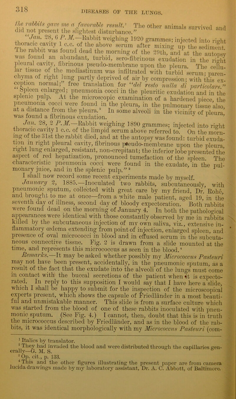 DISEASES OF THE LUNGS. Jhe rabbits gave me a favorable result.’ The other animals survived and did not present the slightest disturbance.” ‘‘Jan. 28 G P. M. —Rabbit weighing 1920 grammes; injected into right thoiacic cavity 1 c.c. of the above serum after mixing up the sediment llie rabbit was found dead the morning of the 29th, and at the autonsv was found an abundant, turbid, sero-fibrinous exudation in the right pleural cavity, fibrinous pseudo-membrane upon the pleura. The cellu far tissue of the mediastinum was infiltrated with turbid serum-paren- chyma of right lung partly deprived of air by compression; with this ex- ception normal; free translation for “del resto nulla cli varticolare ” spleen enlarged; pneumonia cocci in the pleuritic exudation and in the splenic pulp. At the microscopic examination of a hardened piece the pneumonia cocci were found in the pleura, in the pulmonary tissue also at a distance from the pleura.1 2 3 In some alveoli in the vicinity of pleura’ was found a fibrinous exudation. 1 3 Jan. 28,, 2 P.M.— Rabbit weighing 1890 grammes; injected into right thoracic cavity 1 c.c. of the limpid serum above referred to. On the morn- ing of the 31st the rabbit died, and at the autopsy was found: turbid exuda- tion m light pleural cavity, fibrinous pseudo-membrane upon the pleura right lung enlarged, resistant, non-crepitant; the inferior lobe presented the aspect of red hepatization, pronounced tumefaction of the spleen. The characteristic pneumonia cocci were found in the exudate, in the pul- monary juice, and in the splenic pulp.” 3 1 I shall now record some recent experiments made by myself. January 2, 1885.—Inoculated two rabbits, subcutaneously, with pneumonic sputum, collected with great care by my friend, Dr. Rohe, and brought to me at once—from a white male patient, aged 19, in the seventh day of illness, second day of bloody expectoration.0 Both rabbits were found dead on the morning of January 4. In both the pathological appearances were identical with those constantly observed by me in rabbits killed by the subcutaneous injection of my own saliva, viz., extensive in- flammatory oedema extending from point of injection, enlarged spleen, and presence of oval micrococci in blood and in effused serum in the subcuta- neous connective tissue. Fig. 2 is drawn from a slide mounted at the time, and represents this micrococcus as seen in the blood.4 Pern arks. It may be asked whether possibly my Micrococcus Pasteuri may not have been present, accidentally, in the pneumonic sputum, as a iesu.lt of the fact that the exudate into the alveoli of the lungs must come in contact with the buccal secretions of the patient when it is expecto- rated. In reply to this supposition I would say that I have here a slide, which I shall be happy to submit for the inspection of the microscopical experts present, which shows the capsule of Friedlander in a most beauti- ful and unmistakable manner. This slide is from a surface culture which was started from the blood of one of these rabbits inoculated with pneu- monic sputum. (See Fig. 4.) I cannot, then, doubt that this is in truth the micrococcus described by Friedlander, and as in the blood of the rab- bits, it was identical morphologically with my Micrococcus Pasteuri (com- 1 Italics by translator. 2 They had invaded the blood and were distributed through the capillaries gen- erally—G. M. S. 3 Op. cit., p. 183. 4 This and the other figures illustrating the present paper are from camera fucida drawings made by my laboratory assistant, Dr. A. C. Abbott, of Baltimore.