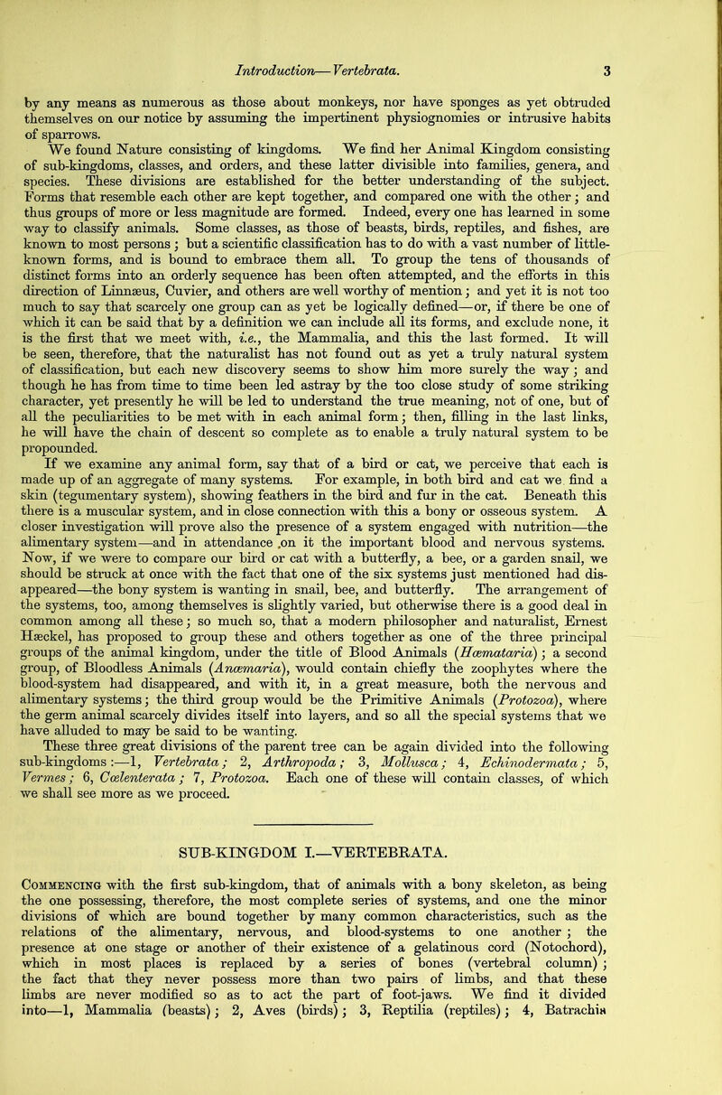 by any means as numerous as those about monkeys, nor have sponges as yet obtruded themselves on our notice by assuming the impertinent physiognomies or intrusive habits of sparrows. We found Nature consisting of kingdoms. We find her Animal Kingdom consisting of sub-kingdoms, classes, and orders, and these latter divisible into families, genera, and species. These divisions are established for the better understanding of the subject. Forms that resemble each other are kept together, and compared one with the other; and thus groups of more or less magnitude are formed. Indeed, every one has learned in some way to classify animals. Some classes, as those of beasts, birds, reptiles, and fishes, are known to most persons ; but a scientific classification has to do with a vast number of little- known forms, and is bound to embrace them all. To group the tens of thousands of distinct forms into an orderly sequence has been often attempted, and the efforts in this direction of Linnaeus, Cuvier, and others are well worthy of mention; and yet it is not too much to say that scarcely one group can as yet be logically defined—or, if there be one of which it can be said that by a definition we can include all its forms, and exclude none, it is the first that we meet with, i.e., the Mammalia, and this the last formed. It will be seen, therefore, that the naturalist has not found out as yet a truly natural system of classification, but each new discovery seems to show him more surely the way; and though he has from time to time been led astray by the too close study of some striking character, yet presently he will be led to understand the true meaning, not of one, but of all the peculiarities to be met with in each animal form; then, filling in the last links, he will have the chain of descent so complete as to enable a truly natural system to be propounded. If we examine any animal form, say that of a bird or cat, we perceive that each is made up of an aggregate of many systems. For example, in both bird and cat we find a skin (tegumentary system), showing feathers in the bird and fur in the cat. Beneath this there is a muscular system, and in close connection with this a bony or osseous system. A closer investigation will prove also the presence of a system engaged with nutrition—the alimentary system—and in attendance .on it the important blood and nervous systems. Now, if we were to compare our bird or cat with a butterfly, a bee, or a garden snail, we should be struck at once with the fact that one of the six systems just mentioned had dis- appeared—the bony system is wanting in snail, bee, and butterfly. The arrangement of the systems, too, among themselves is slightly varied, but otherwise there is a good deal in common among all these; so much so, that a modern philosopher and naturalist, Ernest Haeckel, has proposed to group these and others together as one of the three principal groups of the animal kingdom, under the title of Blood Animals (Hcemataria); a second group, of Bloodless Animals (Ancemaria), would contain chiefly the zoophytes where the blood-system had disappeared, and with it, in a great measure, both the nervous and alimentary systems; the third group would be the Primitive Animals (Protozoa), where the germ animal scarcely divides itself into layers, and so all the special systems that we have alluded to may be said to be wanting. These three great divisions of the parent tree can be again divided into the following sub-kingdoms:—1, Vertebrata; 2, Arthropoda; 3, Mollusca; 4, Echinodermata ; 5, Vermes; 6, Ccelenterata ; 7, Protozoa. Each one of these will contain classes, of which we shall see more as we proceed. SUB-KINGDOM I.—YERTEBBATA. Commencing with the first sub-kingdom, that of animals with a bony skeleton, as being the one possessing, therefore, the most complete series of systems, and one the minor divisions of which are bound together by many common characteristics, such as the relations of the alimentary, nervous, and blood-systems to one another ; the presence at one stage or another of their existence of a gelatinous cord (Notochord), which in most places is replaced by a series of bones (vertebral column) ; the fact that they never possess more than two pairs of limbs, and that these limbs are never modified so as to act the part of foot-jaws. We find it divided into—1, Mammalia (beasts) • 2, Aves (birds); 3, Reptilia (reptiles); 4, Batrachia