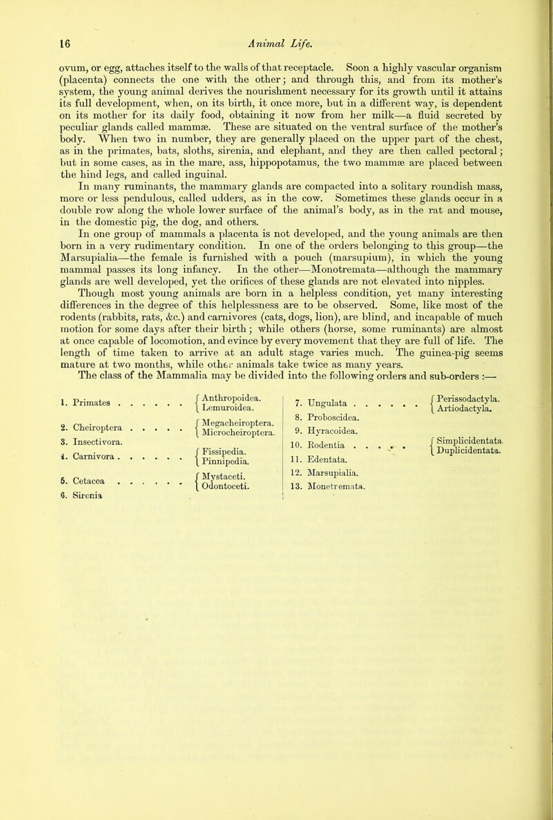 ovum, or egg, attaches itself to the walls of that receptacle. Soon a highly vascular organism (placenta) connects the one with the other; and through this, and from its mother’s system, the young animal derives the nourishment necessary for its growth until it attains its full development, when, on its birth, it once more, but in a different way, is dependent on its mother for its daily food, obtaining it now from her milk—a fluid secreted by peculiar glands called mammse. These are situated on the ventral surface of the mother’s body. When two in number, they are generally placed on the upper part of the chest, as in the primates, bats, sloths, sirenia, and elephant, and they are then called pectoral; but in some cases, as in the mare, ass, hippopotamus, the two mammae are placed between the hind legs, and called inguinal. In many ruminants, the mammary glands are compacted into a solitary roundish mass, more or less pendulous, called udders, as in the cow. Sometimes these glands occur in a double row along the whole lower surface of the animal’s body, as in the rat and mouse, in the domestic pig, the dog, and others. In one group of mammals a placenta is not developed, and the young animals are then born in a very rudimentary condition. In one of the orders belonging to this group—the Mai'supialia—the female is furnished with a pouch (marsupium), in which the young mammal passes its long infancy. In the other—Monotremata—although the mammary glands are well developed, yet the orifices of these glands are not elevated into nipples. Though most young animals are born in a helpless condition, yet many interesting differences in the degree of this helplessness are to be observed. Some, like most of the rodents (rabbits, rats, tic.) and carnivores (cats, dogs, lion), are blind, and incapable of much motion for some days after their birth; while others (horse, some ruminants) are almost at once capable of locomotion, and evince by every movement that they are full of life. The length of time taken to arrive at an adult stage varies much. The guinea-pig seems mature at two months, while other animals take twice as many years. The class of the Mammalia may be divided into the following orders and sub-orders :— 1. Primates . 2. Cheiroptera 8. Insectivora. 4. Carnivora . 5. Cetacea 6. Sirenia f Anthropoidea. \ Lemuroidea. f Megacheiroptera. \ Microcheiroptera. f Fissipedia. \ Pinnipedia. f Mystaceti. \ Odontoceti. 7. Ungulata . 8. Proboscidea. 9. Hyracoidea. 10. Eodentia . 11. Edentata. 12. Marsupialia. 13. Monetremata. f Perissodactyla. \ Artiodactyla. f Simplicidentata. \ Duplicidentata.