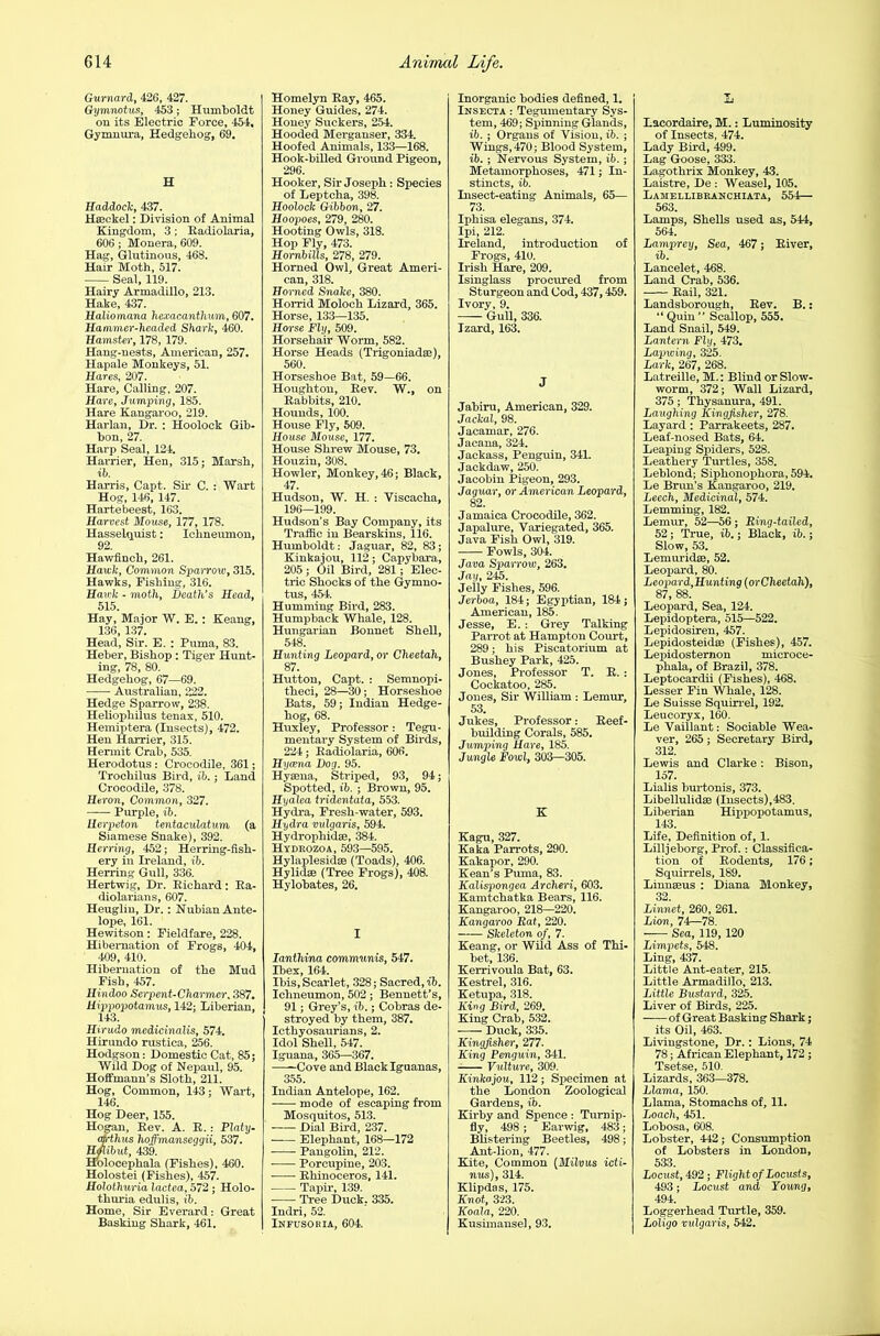 Gurnard, 426, 427. Gymnotus, 453; Humboldt on its Electric Force, 454, Gymnura, Hedgehog, 69. H Haddock, 437. Haeckel: Division of Animal Kingdom, 3 ; Radiolaria, 606; Monera, 609. Hag, Glutinous, 468. Hair Moth, 517. Seal, 119. Hairy Armadillo, 213. Hake, 437. Haliomana liexacanthurn, 607. Hammer-headed Shark, 460. Hamster, 178, 179. Hang-nests, American, 257. Hapale Monkeys, 51. Hares, 207. Hare, Calling, 207. Hare, Jumping, 185. Hare Kangaroo, 219. Har-lan, Dr. : Hoolock Gib- bon, 27. Harp Seal, 124. Harrier, Hen, 315; Marsh, it. Harris, Capt. Sir C. : Wart Hog, 146, 147. Hartebeest, 163. Harvest Mouse, 177, 178. Hasselquist: Ichneumon, 92 Hawfinch, 261. Hawk, Common Sparrow, 315. Hawks, Fishing, 316. Hawk - moth. Death’s Head, 515. Hay, Major W. E. : Keang, 136, 137. Head, Sir. E. : Puma, 83. Heber, Bishop: Tiger Hunt- ing, 78, 80. Hedgehog, 67—69. Australian, 222. Hedge Sparrow, 238. Heliophilus tenax, 510. Hemiptera (Insects), 472. Hen Harrier, 315. Hermit Crab, 535. Herodotus : Crocodile, 361; Trochilus Bird, ib.; Land Crocodile, 378. Heron, Common, 327. Purple, ib. Uerpeton tentaculatum (a Siamese Snake), 392. Herring, 452; Herring-fish- ery in Ireland, ib. Herring Gull, 336. Hertwig, Dr. Richard: Ra- diolarians, 607. Heuglin, Dr.: Nubian Ante- lope, 161. Hewitson; Fieldfare, 228. Hibernation of Frogs, 404, 409, 410. Hibernation of the Mud Fish, 457. Hindoo Serpent-Charmer. 387. Hippopotamus, 142; Liberian, 143. Hirudo medicinalis, 574. Hirundo rustica, 256. Hodgson: Domestic Cat, 85; Wild Dog of Nepaul, 95. Hoffmann's Sloth, 211. Hog, Common, 143; Wart, 146. Hog Deer, 155. Hogan, Rev. A. R. : Platy- atrthus hoffmanseggii, 537. Hflibut, 439. Holocephala (Fishes), 460. Holostei (Fishes), 457. Holothuria lactea, 572; Holo- thuria edulis, ib. Home, Sir Everard: Great Basking Shark, 461. Homelyn Ray, 465. Honey Guides, 274. Honey Suckers, 254. Hooded Merganser, 334. Hoofed Animals, 133—168. Hook-billed Ground Pigeon, 296. Hooker, Sir Joseph : Species of Leptcha, 398. Hoolock Gibbon, 27. Hoopoes, 279, 280. Hooting Owls, 318. Hop Fly, 473. Hombills, 278, 279. Horned Owl, Great Ameri- can, 318. Horned Snake, 380. Horrid Moloch Lizard, 365. Horse, 133—135. Horse Fly, 509. Horsehair Worm, 582. Horse Heads (Trigoniadae), 560. Horseshoe Bat, 59—66. Houghton, Rev. W., on Rabbits, 210. Hounds, 100. House Fly, 509. House Mouse, 177. House Shrew Mouse, 73. Houzin, 308. Howler, Monkey, 46; Black, 47. Hudson, W. H. : Yiscacha, 196—199. Hudson’s Bay Company, its Traffic in Bearskins, 116. Humboldt: Jaguar, 82, 83; Kinkajou, 112; Capybara, 205 ; Oil Bird, 281; Elec- tric Shocks of the Gymno- tus, 454. Humming Bird, 283. Humpback Whale, 128. Hungarian Bonnet Shell, 548. Hunting Leopard, or Cheetah, 87. Hutton, Capt. : Semnopi- theci, 28—30; Horseshoe Bats, 59; Indian Hedge- hog, 68. Huxley, Professor: Tegu- mentary System of Birds, 224; Radiolaria, 606. Hyaena Dog. 95. Hyaena, Striped, 93, 94; Spotted, ib. ; Brown, 95. Hyalea tridentata, 553. Hydra, Fresh-water, 593. Hydra vulgaris, 594. Hydrophidae, 384. Hyduozoa, 593—595. Hylaplesidae (Toads), 406. Hylidae (Tree Frogs), 408. Hylobates, 26. I Ianthina communis, 547. Ibex, 164. Ibis, Scarlet, 328; Sacred, ib. Ichneumon, 502; Bennett’s, 91; Grey’s, ib.; Cobras de- stroyed by them, 387. Icthyosaurians, 2. Idol Shell, 547. Iguana, 365—367. Cove and Black Iguanas, 355. Indian Antelope, 162. mode of escaping from Mosquitos, 513. Dial Bird, 237. Elephant, 168—172 • Pangolin, 212. Porcupine, 203. Rhinoceros, 141. Tapir, 139. ■ Tree Duck. 335. Indri, 52. Infusoria, 604. Inorganic bodies defined, 1. Insecta : Tegumentary Sys- tem, 469; Spinning Glands, ib. ; Organs of Vision, ib. ; Wings, 470; Blood System, ib. ; Nervous System, ib.; Metamorphoses, 471; In- stincts, ib. Insect-eating Animals, 65— 73. Iphisa elegans, 374. Ipi, 212. Ireland, introduction of Frogs, 410. Irish Hare, 209. Isinglass procured from Sturgeon and Cod, 437,459. Ivory, 9. Gull, 336. Izard, 163. J Jabiru, American, 329. Jackal, 98. Jacamar, 276. Jacana, 324. Jackass, Penguin, 341. Jackdaw, 250. Jacobin Pigeon, 293. Jaguar, or American Leopard, 82. Jamaica Crocodile, 362. Japalure, Variegated, 365. Java Fish Owl, 319. Fowls, 304. Java Sparrow, 263. Jay, 245. Jeily Fishes, 596. Jerboa, 184; Egyptian, 184; American, 185. Jesse, E.: Grey Talking Parrot at Hampton Court, 289; his Piseatorium at Bushey Park, 425. Jones, Professor T. R. : Cockatoo, 285. Jones, Sir William : Lemur, 53. Jukes, Professor: Reef- building Corals, 585. Jumping Hare, 185. Jungle Fowl, 303—305. K Kagu, 327. Kaka Parrots, 290. Kakapor, 290. Kean’s Puma, 83. Kalispongea Archeri, 603. Kamtchatka Bears, 116. Kangaroo, 218—220. Kangaroo Rat, 220. Skeleton of, 7. Keang, or Wild Ass of Thi- bet, 136. Kerrivoula Bat, 63. Kestrel, 316. Ketupa, 318. King Bird, 269. King Crab, 532. ■ ■ Duck, 335. Kingfisher, 277. King Penguin, 341. Vulture, 309. Kinkajou, 112; Specimen at the London Zoological Gardens, ib. Kirby and Spence : Turnip- fly, 498 ; Earwig, 483; Blistering Beetles, 498; Ant-lion, 477. Kite, Common (Milvus icti- nus), 314. Klipdas, 175. Knot, 323. Koala, 220. Kushnansel, 93. Lacordaire, M.: Luminosity of Insects, 474. Lady Bird, 499. Lag Goose, 333. Lagothrix Monkey, 43. Laistre, De : Weasel, 105. Lamellibranchiata, 554— 563. Lamps, Shells used as, 544, 564. Lamprey, Sea, 467; River, ib. Lancelet, 468. Land Crab, 536. Rail, 321. Landsborough, Rev. B.: “ Quin ” Scallop, 555. Land Snail, 549. Lantern Fly, 473. Lapwing, 325. Lark, 267, 268. Latreille, M.: Blind orSlow- worm, 372; Wall Lizard, 375 ; Thysanura, 491. Laughing Kingfisher, 278. Layard : Paxrakeets, 287. Leaf-nosed Bats, 64. Leaping Spiders, 528. Leathery Turtles, 358. Leblond; Siphonophora, 594. Le Brim’s Kangaroo, 219. Leech, Medicinal, 574. Lemming, 182. Lemur, 52—56; Ring-tailed, 52 ; True, ib.; Black, ib.; Slow, 53. Lemuridae, 52. Leopard, 80. Leopard,Hunting (orCheetah), 87, 88. Leopard, Sea, 124. Lepidoptera, 515—522. Lepidosiren, 457. Lepidosteidte (Fishes), 457. Lepidosternon microce- phala, of Brazil, 378. Leptocardii (Fishes), 468. Lesser Fin Whale, 128. Le Suisse Squirrel, 192. Leucoryx, 160. Le Vaillant: Sociable Wea- ver, 265; Secretary Bird, 312. Lewis and Clarke; Bison, 157. Lialis burtonis, 373. Libellulidae (Insects),483. Liberian Hippopotamus, 143. Life, Definition of, 1. Lilljeborg, Prof. : Classifica- tion of Rodents, 176; Squirrels, 189. Linnaeus ; Diana Monkey, 32. Linnet, 260, 261. Lion, 74—78. Sea, 119,120 Limpets, 548. Ling, 437. Little Ant-eater, 215. Little Armadillo, 213. Little Bustard, 325. Liver of Birds, 225. —— of Great Basking Shark; its Oil, 463. Livingstone, Dr. : Lions, 74 78; African Elephant, 172; Tsetse, 510. Lizards, 363—378. Llama, 150. Llama, Stomachs of, 11. Loach, 451. Lobosa, 608. Lobster, 442; Consumption of Lobsters in London, 533. Locust, 492; Flight of Locusts, 493; Locust and Young, 494. Loggerhead Turtle, 359. Loligo vulgaris, 542.