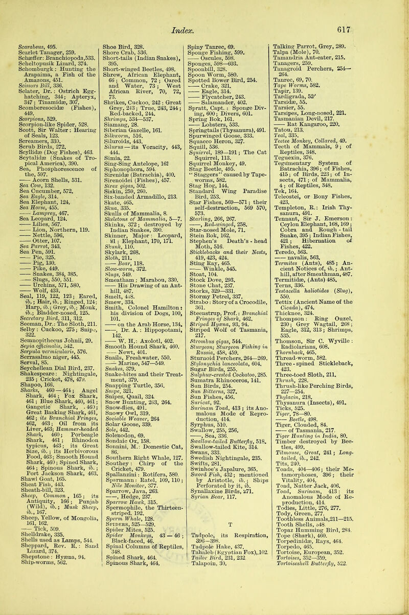 Scarabeus, 495. Scarlet Tanager, 259. Schaeffer: Branchiopoda,533. Scheltopusik Lizard, 374. Sckomhurg-k : Hunting the Arapaima, a Fish of the Amazons, 451. Scissors Bill, 336. Sclater, Dr. : Ostrich Egg- hatching, 344; Apteryx, 347; Tinamidae, 307. Scomheresocidae (Fishes), 449. Scorpions, 529. Scorpion-like Spider, 528. Scott, Sir Walter : Hearing of Seals, 123. Screamers, 330. Scrub Birds, 272. Seyllidae (Dog Fishes), 463. Scytalidae (Snakes of Tro- pical America), 390. Sea, Phosphorescence of the, 597. Acoin Shells, 531. Sea Cow, 132. Sea Cucumber, 572. Sea Eagle, 314. Sea Elephant, 124. Sea Horse, 455. Lamprey, 467. Sea Leopard, 124. ——• Lilies, 567. Lion, Northern, 119. Nettle, 596. Otter, 107. Sea Parrot, 343. Sea Pen, 591. Pie, 325. — Pig, 130. Pike, 449. Snakes, 384, 385. Slugs, 550, 551. Urchins, 571, 580. Wolf, 433. Seal, 119, 122, 123; Eared, ib.; Hair, ib.; Ringed, 124; Harp, ib.; Grey, ib.; Monk, ib.; Bladder-nosed, 125. Secretary Bird, 311, 312. Seeman, Dr.: The Sloth, 211. Selby : Cuckoo, 275; Snipe, 322. Semnopithecus Joknii, 29. Sepia officinalis, 542. Serpula vermicularis, 576. Serrasalmo niger, 445. Serval, 85. Seychellean Dial Bird, 237. Shakespeare: Nightingale, 235 ; Cricket, 478, 479. Shapoo, 166. Sharks, 460 — 464; Angel Shark, 464; Fox Shark, 461; Blue Shark, 460, 461; Gangetic Shark, . 460; Great Basking Shark, 461, 462; its Branchial Fringes, 462, 463; Oil from its Liver, 463; Hammer-headed Shark, 460; Porbeagle Shark, 461; Rhinodon typicus, 463; its Great Size, ib.; its Herbivorous Food, 463; Smooth Hound Shark, 460; Spined Shark, 464; Spinous Shark, ib.; Port Jackson Shark, 463. Shawl Goat, 165. Sheat Fish, 443. Sheath-bill, 323. Sheep, Common , 165; its Antiquity, 166; Punjab (Wild.), ib.; Musk Sheer), ib., 167. Sheep, Yellow, of Mongolia, 161, 162. Tick, 509. Shelldrake, 335. Shells used as Lamps, 544. Sheppard, Rev. R. : Sand Lizard, 374. Shepstone: Hyaena, 94. Ship-worms, 562. Shoe Bird, 328. Shore Crab, 536. Short-tails (Indian Snakes), 395. Short-winged Beetles, 498. Shrew, African Elephant, 66 ; Common, 72 ; Oared and Water, 73; West African River, 70, 72, 73. Shrikes, Cuckoo, 242 ; Great Grey, 213; True, 243, 244; Red-backed, 244. Shrimps, 534—537. Siamang, 28. Siberian Gazelle, 161. Silkworm, 516. Siluroids, 443. Silurus — its Voracity, 443, 444:. Simia, 22. Sing-Sing Antelope, 162 Siphonophora, 594. Sirenidas (Batrachia), 400. Sirenoidei (Fishes), 457. Sirex gigas, 502. Siskin, 259, 260. Six-banded Armadillo, 213. Skate, 465. Skua, 335. Skulls of Mammalia, 8. Skeletons of Mammalia, 5—7. Skinks, 372; destroyed by Indian Snakes, 390. Skinner, Major: Leopard, 81; Elephant, 170, 171. Skunk, 110. Skylark, 268. Sloth, 211. Bear, 118. Slow-worm, 372. Slugs, 549. Smeatham : Marabou, 330. His Drawing of an Ant- hill, 487. Smelt, 418. Smew, 334. Smith, Colonel Hamilton i his division of Dogs, 100, 101. on the Arab Horse, 134. , Dr. A. : Hippopotami, 142. W. H.: Axolotl, 402. Smooth Hound Shark, 460. Newt, 401. Snails, Freshwater, 550. Marine, 547—549. Snakes, 379. Snake-bites and their Treat- ment, 379. Snapping Turtle, 356. Snipe, 321. Snipes, Quail, 324. Snow Bunting, 263, 264. Snow-flies, 491. Snowy Owl, 319. Sociable Weaver, 264 Solar Goose, 339. Sole, 442. Solenodon, 69. Sondaic Ox, 158. Sonnini, M.: Domestic Cat, 86. Southern Right Whale, 127. Southey: Chirp of the Cricket, 479. Spallanzini: Rotifera, 580. Spnrmann: Ratel, 109, 110 ; Nile Monitor, 377. Sparrow, Java, 263. , Hedge, 237. Sparrow Hawk, 315. Spermophile, the Thirteen- striped, 192. Sperm Whale, 128. Spiders, 525—529. Spider Mites, 525. Spider Monkeys, 43 — 46 ; Black-faced, 46. Spinal Columns of Reptiles, 348. I Spined Shark, 464. , Spinous Shark, 464. Spiny Tanrec, 69. Sponge Fishing, 599. Oscules, 598. Sponges, 598—603. Spoonbill, 328. Spoon Worm, 580. Spotted Bower Bird, 254. Crake, 321. Eagle, 314. Flycatcher, 243. Salamander, 402. Spratt, Capt. : Sponge Div- ing, 600; Divers, 601. Spring Bok, 161. Lobsters, 533. Springtails (Thysanura), 491. Spurwinged Goose, 333. Squacco Heron, 327. Squill, 536. Squirrel, 189—191; The Cat Squirrel, 113. Squirrel Monkey, 49. Stag Beetle, 495. “ Staggers” caused by Tape- worms, 582. Stag Hog, 144. Standard Wing Paradise Bird, 253. Star Fishes, 569—571; their self-destruction, 569 570, 573. Starling, 266, 267. , Red-winged, 258. Star-nosed Mole, 71. Stein Bok, 162. Stephen’s Death’s - head Moth, 516. Sticklebacks and their Nests, 419,423, 424. Sting Ray, 465. Winkle, 545. Stoat, 104. Stock Dove, 293. Stone Chat, 237. Storks, 329—331. Stormy Petrel, 337. Strabo: Story of a Crocodile, 361. Steenstrup, Prof.: Branchial Fringes of Shark, 462. Striped Hyaena, 93, 94. Striped Wolf of Tasmania, 217. Strombus gigas, 544. Sturgeon; Sturgeon Fishing in Russia, 458, 459. Sturnoid Perchers, 264—269. Stylonychia lanceolata, 604. Sugar Birds, 255. Sulphur-crested Cockatoo, 285. Sumatra Rhinoceros, 141. Sun Birds, 254. Sim Bitterns, 327. Sun Fishes, 456. Suricat, 92. Surinam Toad, 413 ; its Ano- malous Mode of Repro- duction, 414. Syrphus, 510. Swallow, 255, 256. , Sea, 336. Swallow-tailed Butterfly, 518. Swallow-tailed Kite, 314. Swans, 333. Swedish Nightingale, 235. Swifts, 281. Swinhoe’s Japalure, 365. Sword Fish, 432; mentioned by Aristotle, ib.; Ships Perforated by it, ib. Synallaxine Birds, 271. Syrian Bear, 117. T Tadpole, its Respiration, 396-398. Tadpole Hake, 437. Tahaleb (Egyptian Fox),.102. Tailor Bird, 231, 232. Talapoin, 30. Talking Parrot, Grey, 289. Talpa (Mole), 70. Tamandria Ant-eater, 215. Tanagers, 259. Tanagroid Perchers, 254r— 264. Tanrec, 69, 70. Tape Worms, 582. Tapir, 139. Tardigrada, 52^ Tarsidse, 55. Tarsier, 55. Tarsipes, Long-nosed, 221. Tasmanian Devil, 217. Rat Kangaroo, 220. Tatou, 213. Teal, 335. Teetee Monkey, Collared, 49. Teeth of Mammals, 9; of Reptiles, 348. Teguexin, 376. Tegumentary System of Batrachia, 396; of Fishes, 415; of Birds, 223; of In- sects, 471; of Mammalia, 4 ; of Reptiles, 348. Tek, 164. Teleostei, or Bony Fishes, 423. Templeton, R.: Irish Thy- sanura, 491. Tennant, Sir J. Emerson: Ceylon Elephant, 168,169; Cobra and Rough - tail Snake, 395; Indian Fishes, 421; Hibernation of Fishes, 422. Teredo, 563. navalis, 563. Termites (Ants), 485; An- cient Notices of, ib.; Ant- hill, after Smeathman, 487. Termitidse, (Ants) 485. Terns, 336. Testacella haliotides (Slug), 550. Tettix (Ancient Name of the Cicada), 474. Tliicknee, 324. Thompson: Ring Ouzel, 230; Grey Wagtail, 268; Eagle, 312, 313; Shrimps, 535. Thomson, Sir C. Wyville : Radiolarians, 608. Thornback, 465. Thread-worm, 582. Three - spined Stickleback, 423. Three-toed Sloth, 211. Thi'ush, 228. Thrush-like Perching Birds, 227—254. Thylacin, 218. Thysanura (Insects), 491. Ticks, 525. Tiger, 78—80. Beetle, 498. Tiger, Clouded, 84. ■ of Tasmania, 217. Tiger Hunting in India, 80. Timber destroyed by Bee- tles, 499. Titmouse, Great, 241; Long- tailed, ib., 242. Tits, 240. Toads, 404—406; their Me- tamorphoses, 396; their Vitality, 404. Toad, Natter Jack, 406. Toad, Surinam, 413: its Anomalous Mode of Re- production, 414. Todies, Little, 276, 277. Tody, Green, 277. Toothless Animals,211—215. Tooth Shells, o48. Topaz Humming Bird, 284. Tope (Shark), 460. Torpedinidse, Rays, 464. Torpedo, 465. Tortoise, European, 352. Tortoises, 352—359. Tortoiseshell Butterfly, 522.