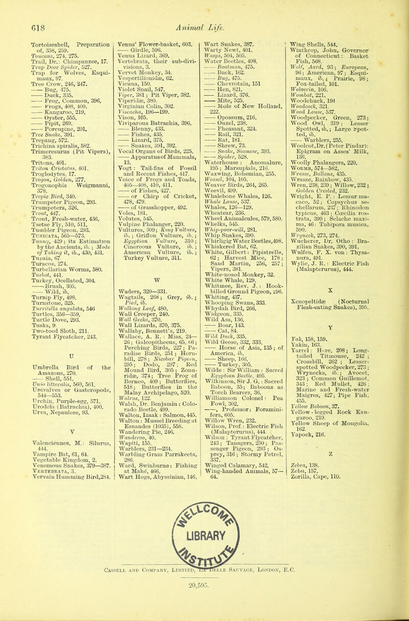 Tortoiseshell, Preparation of, 358, 259. Touca/ns, 274, 275. Trail, Dr.: Chimpanzee, 17. Trap Door Spider, 527. Trap for Wolves, Esqui- maux, 97. Tree Crow, 246, 247. Bug, 475. Duck, 335. Prog, Common, 396. b'rogs, 408, 409. Kangaroo, 219. Oyster, 555. Pipit, 269. Porcupine, 201. Tree Snake, ’391. T repang, 572. Trichina spiralis, 582. Trimeresurus (Pit Vipers), 383 Tritons, 401. Triton Cristatvs, 401. Troglodytes, 17. Trogon, Golden, 277. Trogonophis Weigmanni, 378. Tropic Bird, 340. Trumpeter Pigeon, 293. Trumpeters, 326. Trout, 447. Trout, Fresh-water, 436. Tsetse Fly, 510, 511. Tumbler Pigeon, 293. Tunicata, 565—573. Tunny, 429; its Estimation by the Ancients, ib.; Mode of Taking it, ib., 430, 431. Tupaia, 67 Turacos, 274. Turbellarian Worms, 580. Turbot, 441. Turkey, Ocellated, 304. ■ Brush, 305. Wild, ib. Turnip Fly, 498. Turnstone, 325. Turritella angulata, 546 Turtles, 356—359. Turtle Dove, 293. Tusks, 9. Two-toed Sloth, 211. Tyrant Flycatcher, 243. U Umbrella Bird of the Amazons, 270. Shell, 551. Unio littoralis, 560, 561. Univalves or Gasteropods, 544—553. Urchin, Purple-egg, 571. Urodela (Batraehia), 400. Urva, Nepaulese, 93. V Valenciennes, M.: Siluras, 444. Vampire Bat, 61, 64. Vegetable Kingdom, 2. Venomous Snakes, 379—387. Vertebrata, 3. Vervain Humming Bird,284. Venus’ Flower-basket, 603. Girdle, 596. Venus Lizard, 369. Vertebrata, their sub-divi- visions, 3. Vervet Monkey, 34. Vespertilionidaa, 62. Vicuna, 150. Violet Snail, 547. Viper, 381; Pit Viper, 382. Viperidae, 380. Virginian Colin, 302. Viscacha, 196—199. Vison, 105. Viviparous Batraehia, 396. Blenny, 433. Fishes, 435. Lizard, 375. Snakes, 391, 392. Vocal Organs of Birds, 225. Apparatus of Mammals, 13. Vogt: Tail-fins of Fossil and Recent Fishes, 417. Voice of Frogs and Toads, 405—408, 410, 411. of Fishes, 427. or Chirp of Cricket, 478, 479. ■ of Grasshopper, 492. Voles, 181. Volutes, 545. Vulpine Phalanger, 220. Vultures, 309; King Vulture, ib.; Griffon Vult ure, ib.; Egyptian Vulture, 310; Cinereous Vulture, ib.; American Vulture, ib.; Turkey Vulture, 311. W Waders, 320—331. Wagtails, 268; Grey, ib.; Pied, ib. Walking Leaf, 480. Wall Creeper, 240. Wall Gecko, 370. Wall Lizards, 370, 375. Wallaby, Bennett’s, 219. Wallace, A. 11. : Mias, 24— 26; Galeopithecus, 65, 66; Perching Birds, 227; Pa- radise Birds, 251; Horn- bill, 278; Nicobar Pigeon, 295; Dodo, 297; Red Mound Bird, 305; Zonu- ridm, 374; Tree Frog of Borneo, 409; Butterflies, 518; Butterflies in the Malay Archipelago, 520. Walrus, 122.' Walsh, Dr. Benjamin: Colo- rado Beetle, 499. Walton, Izaak : Salmon, 445. Walton: Mussel Breeding at Esnandes (1035), 558. Wandering Pie, 246. Wander00, 40. Wapiti, 155. Warblers, 231—234. Warbling Grass Parrakeets, 286. Ward, Swinburne: Fishing at Mahd, 466. Wart Hogs, Abyssinian, 146. Wart Snakes, 387. Warty Newt, 401. Wasps, 504, 505. Water Beetles, 498. Boatman, 475. Buck, 162. Bug, 475. Chevrotain, 151 Hen, 821. Lizard, 376. Mite, 525. Mole of New Holland, 222. Opossum, 216. Ouzel, 238. Pheasant, 324. Rail, 321. Rat, 181. Shrew, 73. Snake, Siamese, 393. Spider, 528. Waterhouse : Anomalure, 195; Marsupials, 216. Waxwing, Bohemian, 255. Weasel, 104, 105. Weaver Birds, 264, 265. Weevil, 499. Whalebone Whales, 126. Whale Louse, 537. Whales, 126—129. Wheatear, 236. Wheel Animalcules, 579,580. Whelks, 545. Whip-poor-will, 281. Whip Snakes, 390. Whirligig W ater Beetles,498. Whiskered Bat, 62. White, Gilbert: Pipistrelle, 62; Harvest Mice, 178; Sand Martin, 256, 257; Vipers, 381. White-nosed Monkey, 32. White Whale, 129. Whitmee, Rev. J. : Hook- billed Ground Pigeon, 296. Whiting, 437. Whooping Swans, 333. Whydah Bird, 266. Widgeon, 335. Wild Ass, 136. Boar, 143. - Cat, 84. Wild Duck, 335. Wild Geese, 332, 333. Horse of Asia, 135; of America, ib. Sheep, 166. Turkey, 305. Wilde : Sir William : Sacred Egyptian Beetle, 495. Wilkinson, Sir J. G.: Sacred Baboon, 35; Baboons as Torch Bearers, 36. Williamson Colonel: Pea Fowl, 302. , Professor: Foramini- fera, 605. Willow Wren, 232. Wilson, Prof.: Electric Fish (Malapterurus), 444. Wilson: Tyrant Flycatcher, 243; Tanagers, 250; Pas- senger Pigeon, 293 ; Os- prey, 316; Stormy Petrel, 337. Winged Calamary, 542. Wing-handed Animals, 57— 64. Wing Shells, 544. Winthrop, John, Governor of Connecticut: Basket Fish, 568. Wolf, Aard, 93; European, 96; American, 97; Esqui- maux, ib.; Prairie, 98; Fox-tailed, 101. Wolveri n, 106. Wombat, 221. Woodchuck, 194 Woodcock, 321. Wood Louse, 537. Woodpecker, Green, 273; Wood Owl, 319; Lesser Spotted, ib.; Large Spot- ted, ib. Warblers, 255. Woolcot,Dr.( Peter Pindar): Epigram on Asses’ Milk, 136. Woolly Phalangers, 220. Worms, 574—582. Wrasse, Ballans, 435. Wrasse, Rainbow, 435. Wren, 238, 239; Willow, 232 ; Golden Crested, 232. Wright, E. P. : Lemur ma- caco, 52; Copsychus se- chellarum, 237; Rhinodon typieus, 463; Ccecilia ros- trata, 399; Selache maxi- ma, 46: Tubipora musica, 590. Wryneck, 273, 274. Wucherer, Dr. Otho : Bra- zilian Snakes, 390, 391. Wulfen, F. X. von; Thysa- nura, 491. Wylie, J. R. : Electric Fish (Malapterurus), 444. X Xenopeltidfe (Nocturnal Flesh-eating Snakes), 395. Y Tak, 158,159. Ynkin, 163. Yarrel: Hare, 208; Long- tailed Titmouse, 242 ; Crossbill, 262 ; Lesser- spotted Woodpecker, 273; Wrynecks, ib.; Avocet, 323 ; Common Guillemot, 343; Red Mullet, 426 ; Marine and Fresh-water Maigres, 427; Pipe Fish, 455. Yellow Baboon, 37. Yellow - legged Rock Kan- garoo, 219. Yellow Sheep of Mongolia, 162. Yapock, 216. Z Zebra, 138. Zebu, 157. Zorilla, Cape, 110.