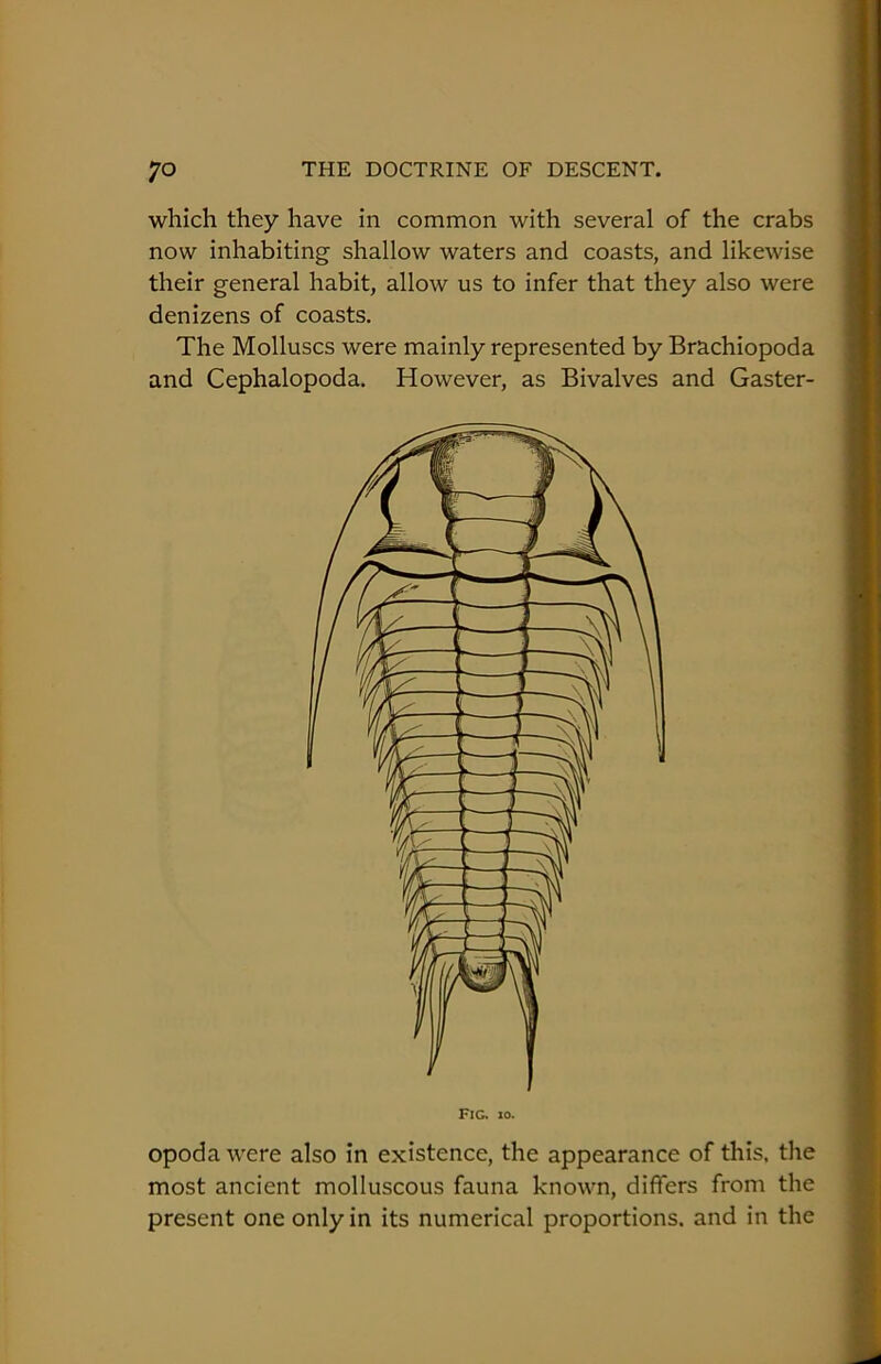 which they have in common with several of the crabs now inhabiting shallow waters and coasts, and likewise their general habit, allow us to infer that they also were denizens of coasts. The Molluscs were mainly represented by Brachiopoda and Cephalopoda. However, as Bivalves and Caster- FiGi 10. opoda were also in existence, the appearance of this, the most ancient molluscous fauna known, differs from the present one only in its numerical proportions, and in the