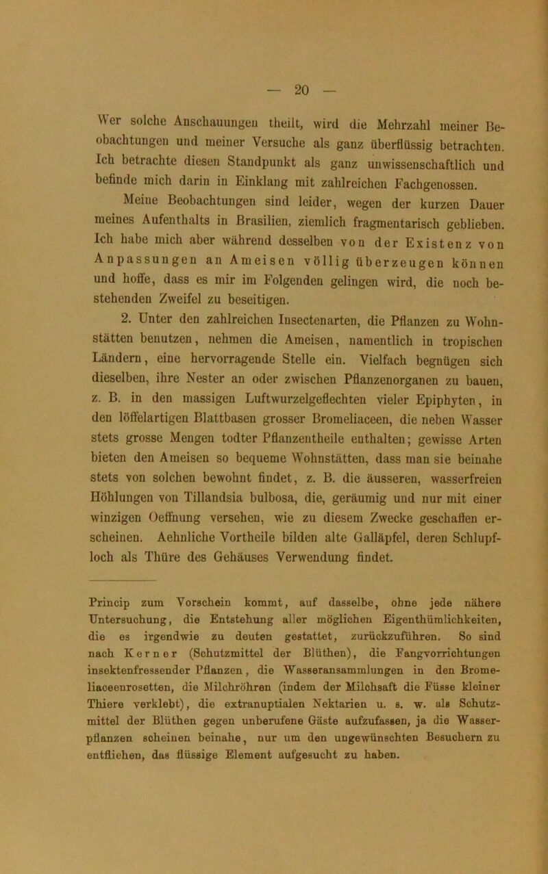 Wer solche Anschauungeu theiit, wird die Mehrzahl meiner Be- obachtungen und meiner Versuche als ganz überflüssig betrachten. Ich betrachte diesen Standpunkt als ganz unwissenschaftlich und befinde mich darin in Einklang mit zahlreichen Fachgenossen. Meine Beobachtungen sind leider, wegen der kurzen Dauer meines Aufenthalts in Brasilien, ziemlich fragmentarisch geblieben. Ich habe mich aber während desselben von der Existenz von Anpassungen an Ameisen völlig überzeugen können und hoffe, dass es mir im Folgenden gelingen wird, die noch be- stehenden Zweifel zu beseitigen. 2. Unter den zahlreichen Insectenarten, die Pflanzen zu Wohn- stätten benutzen, nehmen die Ameisen, namentlich in tropischen Ländern, eine hervorragende Stelle ein. Vielfach begnügen sich dieselben, ihre Nester an oder zwischen Pflanzenorganen zu bauen, z. B. in den massigen Luftwurzelgeflechten vieler Epiphyten, in den löfl’elartigen Blattbasen grosser Bromeliaceen, die neben Wa.sser stets grosse Mengen todter Pflanzentheile enthalten; gewisse Arten bieten den Ameisen so bequeme Wohnstätten, dass man sie beinahe stets von solchen bewohnt findet, z. B. die äusseren, wasserfreien Höhlungen von Tillandsia bulbosa, die, geräumig und nur mit einer winzigen Oeffnung versehen, wie zu diesem Zwecke geschaflen er- scheinen. Aehnliche Vortheile bilden alte Galläpfel, deren Schlupf- loch als Thüre des Gehäuses Verwendung findet. Princip zum Vorschein kommt, auf dasselbe, ohne jede nähere Untersuchung, die Entstehimg aller möglichen Eigenthümlichkeiten, die es irgendwie zu deuten gestattet, zurückzufiihren. So sind nach Kerner (Schutzmittel der Blüthen), die Fangvorrichtungen insektenfressender Pflanzen, die Wasseransammlungen in den Brome- liaceenrosetten, die ^Milchröhren (indem der Milchsaft die Füsse kleiner Thiere verklebt), die extranuptialen Nektarien u. s. w. als Schutz- mittel der Blüthen gegen unberufene Gäste aufzufassen, ja die Wasser- pflanzen scheinen beinahe, nur um den ungewünschten Besuchern zu entfliehen, das flüssige Element aufgesucht zu haben.