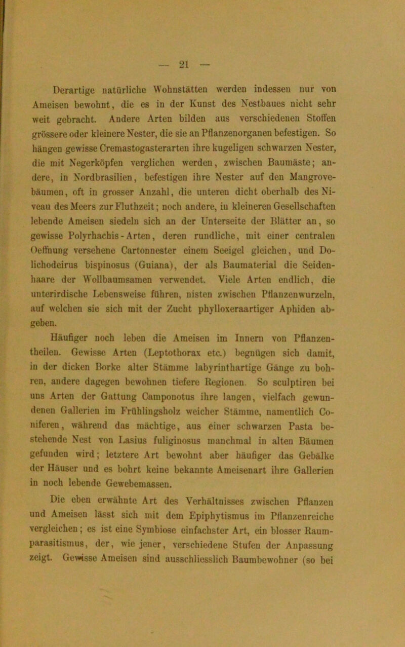 Derartige natürliche Wohnstätten werden indessen nur von Ameisen bewohnt, die es in der Kunst des Nestbaues nicht sehr weit gebracht. Andere Arten bilden aus verschiedenen Stotfen grössere oder kleinere Nester, die sie an Pflanzenorganen befestigen. So hängen gewisse Cremastogasterarten ihre kugeligen schwarzen Nester, die mit Negerköpfen verglichen werden, zwischen Baumäste; an- dere, in Nordbrasilien, befestigen ihre Nester auf den Mangrove- bäumen, oft in grosser Anzahl, die unteren dicht oberhalb des Ni- veau des Meers zur Fluthzeit; noch andere, in kleineren Gesellschaften lebende Ameisen siedeln sich an der Unterseite der Blätter an, so gewisse Polyrhachis - Arten, deren rundliche, mit einer centralen Oeftiiung versehene Cartonnester einem Seeigel gleichen, und Do- lichodeirus bispinosus (Guiana), der als Baumaterial die Seiden- haare der Wollbaumsamen verwendet. Viele Arten endlich, die unterirdische Ivebensweise führen, nisten zwischen Pflanzenwurzeln, auf welchen sie sich mit der Zucht phylloxeraartiger Aphiden ab- geben. Häufiger noch leben die Ameisen im Innern von Pflanzen- theileu. Gewisse Arten (Leptothorax etc.) begnügen sich damit, in der dicken Borke alter Stämme labyrinthartige Gänge zu boh- ren, andere dagegen bewohnen tiefere Uegionen. So sculptiren bei uns Arten der Gattung Camponotus ihre langen, vielfach gewun- denen Gallerien im Frühlingsholz weicher Stämme, namentlich Co- niferen, während diis mächtige, aus einer schwarzen Pasta be- stehende Nest von I^sius fuliginosus manchmal in alten Bäumen gefunden wird; letztere Art bewohnt aber häufiger das Gebälke der Häuser und es bohrt keine bekannte Ameisenart ihre Gallerien in noch lebende Gewebemassen. Die eben erwähnte Art des Verhältnisses zwischen Pflanzen und Ameisen lässt sich mit dem Epiphytismus im Pflanzenreiche vergleichen; es ist eine Symbiose einfachster Art, ein blosser Raum- parasitismus, der, wie jener, verschiedene Stufen der Anpassung zeigt. Gewisse Ameisen sind ausschliesslich Baumbewohner (so bei