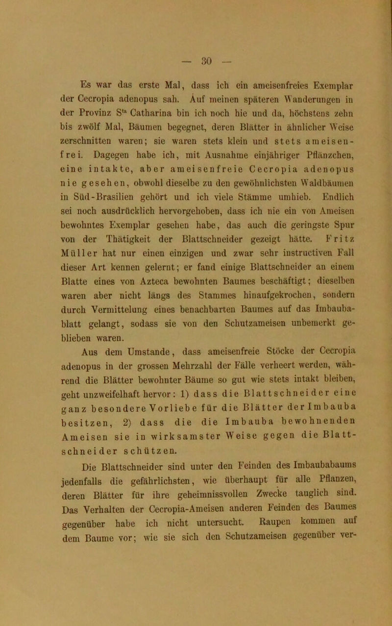 Es war das erste Mal, dass ich ein araeisenfreies Exemplar der Cecropia adenopus sah. Auf meinen späteren Wanderungen in der Provinz S“ Catharina bin ich noch hie und da, höchstens zehn bis zwölf Mal, Bäumen begegnet, deren Blätter in ähnlicher Weise zerschnitten waren; sie waren stets klein und stets ameisen- frei. Dagegen habe ich, mit Ausnahme einjähriger Pflänzchen, eine intakte, aber ameisenfreie Cecropia adenopus nie gesehen, obwohl dieselbe zu den gewöhnlichsten W'aldbäumen in Süd-Brasilien gehört und ich viele Stämme umhieb. Endlich sei noch ausdrücklich hervorgehoben, dass ich nie ein von Ameisen bewohntes Exemplar gesehen habe, das auch die geringste Spur von der Thätigkeit der Blattschneider gezeigt hätte. Fritz Müller hat nur einen einzigen und zwar sehr instructiven Fall dieser Art kennen gelernt; er fand einige Blattschneider an einem Blatte eines von Azteca bewohnten Baumes beschäftigt; dieselben waren aber nicht längs des Stammes hinaufgekrochen, sondern durch Vermittelung eines benachbarten Baumes auf das Imbauba- blatt gelangt, sodass sie von den Schutzameisen unbemerkt ge- blieben waren. Aus dem Umstande, dass ameisenfreie Stöcke der Cecropia adenopus in der grossen Mehrzahl der Fälle verheert werden, wäh- rend die Blätter bewohnter Bäume so gut wie stets intakt bleiben, geht unzweifelhaft hervor: 1) dass die Blattschneider eine ganz besondere Vorliebe für die Blätter derlmbauba besitzen, 2) dass die die Imbauba bewohnenden Ameisen sie in wirksamster Weise gegen die Blatt- schneider schützen. Die Blattschneider sind unter den Feinden des Imbaubabaums jedenfalls die gefährlichsten, wie überhaupt für alle Pflanzen, deren Blätter für ihre geheimnissvollen Zwecke tauglich sind. Das Verhalten der Cecropia-Ameisen anderen Feinden des Baumes gegenüber habe ich nicht untersucht. Raupen kommen auf dem Baume vor; wie sie sich den Schutzameisen gegenüber ver-