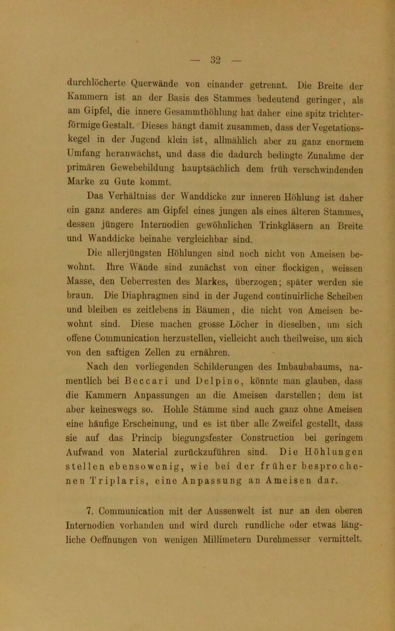 durchlöcherte Querwände von einander getrennt. Die Breite der Kamniem ist an der Basis des Stannnes bedeutend geringer, als am Gipfel, die innere Gesammthöhlung hat daher eine spitz trichter- förmige Gestalt. Dieses hängt damit zusammen, dass der Vegetations- kegel in der Jugend klein ist, allmählich aber zu ganz enormem Umfang heranwächst, und dass die dadurch bedingte Zunahme der primären Gewebebildung hauptsächlich dem früh vei-schwindenden Marke zu Gute kommt. Das Verhältniss der Wanddicke zur inneren Höhlung ist daher ein ganz anderes am Gipfel eines jungen als eines älteren Stammes, dessen jüngere Internodien gewöhnlichen Trinkgläsern an Breite und Wanddicke beinahe vergleichbar sind. Die allerjüngsten Höhlungen sind noch nicht von Ameisen be- wohnt. Ihre Wände sind zunächst von einer flockigen, weissen Masse, den Ueberresten des Markes, überzogen; später werden sie braun. Die Diaphragmen sind in der Jugend continuirliche Scheiben und bleiben es zeitlebens in Bäumen, die nicht von Ameisen be- wohnt sind. Diese machen grosse Löcher in dieselben, um sich oflene Communication herzustellen, vielleicht auch theilweise, um sich von den saftigen Zellen zu ernähren. Nach den vorliegenden Schilderungen des Imbaubabaums, na- mentlich bei Beccari und Delpino, könnte man glauben, dass die Kammern Anpassungen an die Ameisen darstellen; dem ist aber keineswegs so. Hohle Stämme sind auch ganz ohne Ameisen eine häufige Erscheinung, und es ist über alle Zweifel gestellt, dass sie auf das Princip biegungsfester Construction bei geringem Aufwand von Material zurückzuführen sind. Die Höhlungen stellen ebensowenig, wie bei der fr über bespro die- nen Triplaris, eine Anpassung an Ameisen dar. 7. Communication mit der Aussenwelt ist nur an den oberen Internodien vorhanden und wird durch rundliche oder etwas läng- liche Oeffnungen von w^enigen Millimetern Durchmesser vermittelt.