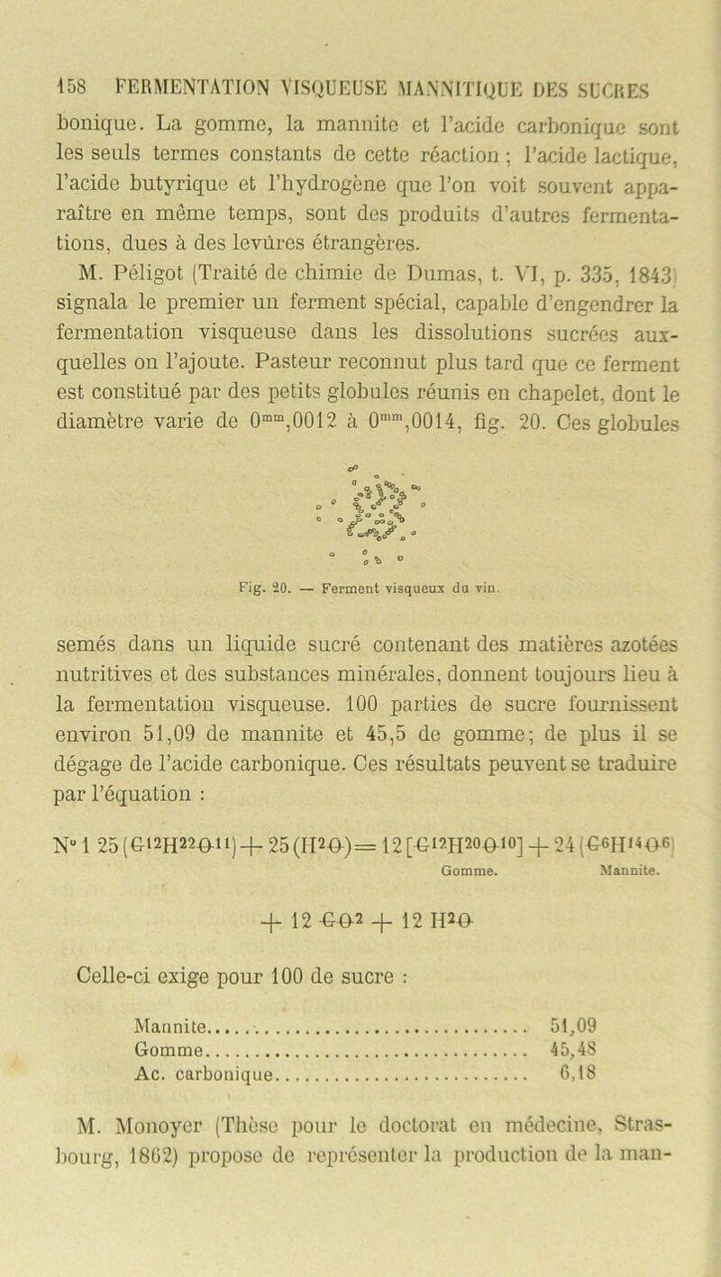 bonique. La gomme, la mannitc et l’acide carbonique sont les seuls termes constants de cette réaction ; l’acide lactique, l’acide butyrique et l’hydrogène que l’on voit souvent appa- raître en même temps, sont des produits d’autres fermenta- tions, dues à des levures étrangères. M. Péligot (Traité de chimie de Dumas, t. VI, p. 335, 1843' signala le premier un ferment spécial, capable d’engendrer la fermentation visqueuse dans les dissolutions sucrées aux- quelles on l’ajoute. Pasteur reconnut plus tard que ce ferment est constitué par des petits globules réunis en chapelet, dont le diamètre varie de 0”“,0012 à 0,0014, fig. 20. Ces globules O \ O t» _ O O O (k ® «» cP Fig. 20. — Ferment visqueux du vin. semés dans un liquide sucré contenant des matières azotées nutritives et des substances minéi’ales, donnent toujours lieu à la fermentation visqueuse. 100 parties de sucre fournissent environ 51,09 de mannite et 45,5 de gomme; de plus il se dégage de l’acide carbonique. Ces résultats peuvent se traduire par l’équation ; N“ 1 25 (G12H220-H) + 25(H2D)= 12 [-&12H20Q-10] 4. 24 (€6H«^06) Gomme. Mannite. + 12 -GD-2 + 12 IPD Celle-ci exige pour 100 de sucre : Mannite 51^09 Gomme 45,48 Ac. carbonique 6,18 M. jMonoyer (Thèse pour le doctorat en médecine, Stras- ])ourg, 1862) propose de représenter la production de la man-
