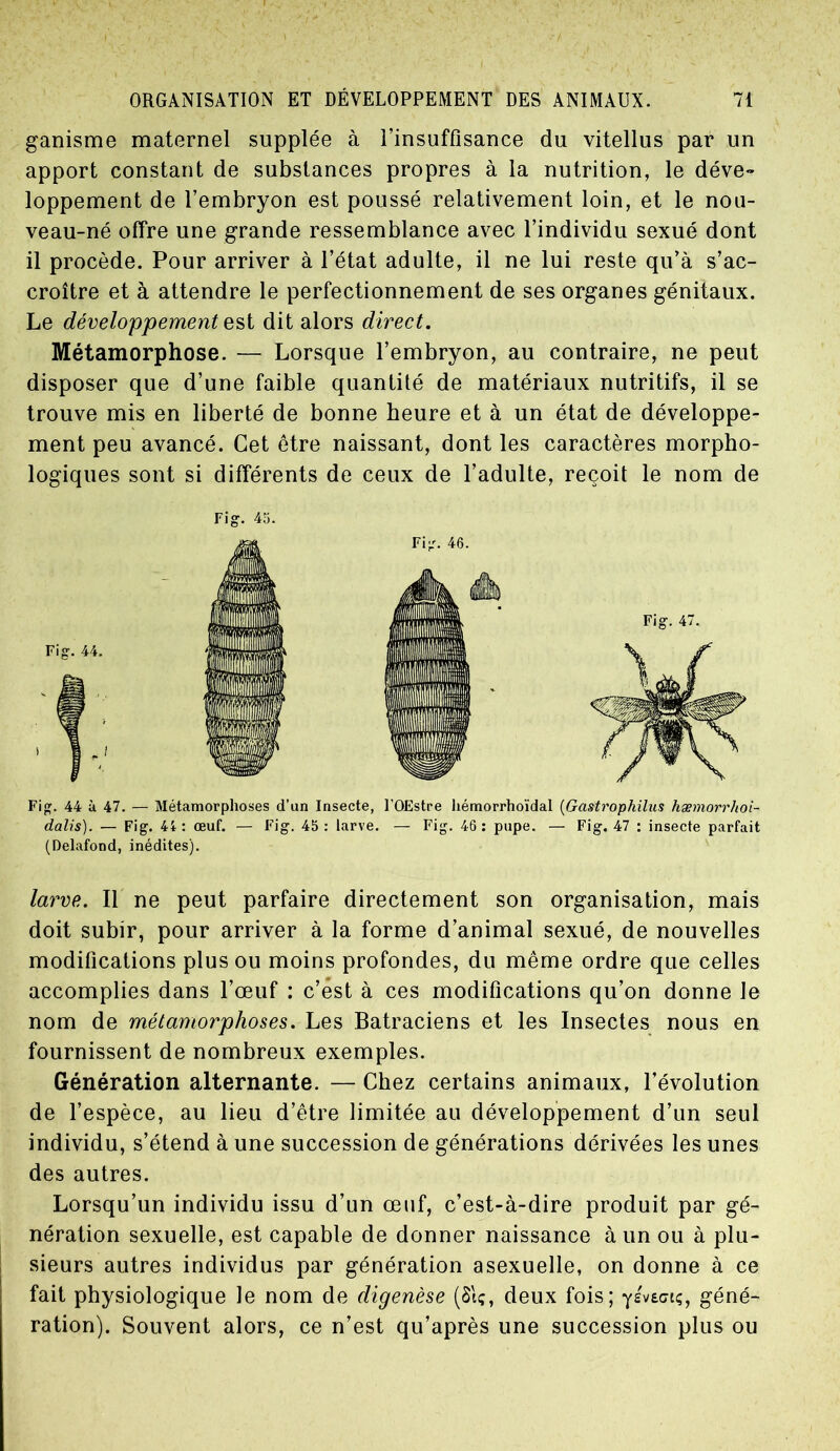 ganisme maternel supplée à l’insuffisance du vitellus par un apport constant de substances propres à la nutrition, le déve- loppement de l’embryon est poussé relativement loin, et le nou- veau-né offre une grande ressemblance avec l’individu sexué dont il procède. Pour arriver à l’état adulte, il ne lui reste qu’à s’ac- croître et à attendre le perfectionnement de ses organes génitaux. Le développement est dit alors direct. Métamorphose. — Lorsque l’embryon, au contraire, ne peut disposer que d’une faible quantité de matériaux nutritifs, il se trouve mis en liberté de bonne heure et à un état de développe- ment peu avancé. Cet être naissant, dont les caractères morpho- logiques sont si différents de ceux de l’adulte, reçoit le nom de Fig. 44 à 47. — Métamorphoses d’un Insecte, l’OEstre hémorrhoïdal (Gastrophilus hæmorrhoi- dalis). — Fig. 44: œuf. — Fig. 45: larve. — Fig. 46: pupe. — Fig. 47 : insecte parfait (Delafond, inédites). larve. Il ne peut parfaire directement son organisation, mais doit subir, pour arriver à la forme d’animal sexué, de nouvelles modifications plus ou moins profondes, du même ordre que celles accomplies dans l’œuf : c’est à ces modifications qu’on donne le nom de métamorphoses. Les Batraciens et les Insectes nous en fournissent de nombreux exemples. Génération alternante. — Chez certains animaux, l’évolution de l’espèce, au lieu d’être limitée au développement d’un seul individu, s’étend à une succession de générations dérivées les unes des autres. Lorsqu’un individu issu d’un œuf, c’est-à-dire produit par gé- nération sexuelle, est capable de donner naissance à un ou à plu- sieurs autres individus par génération asexuelle, on donne à ce fait physiologique le nom de digenèse (St;, deux fois; yivzciç, géné- ration). Souvent alors, ce n’est qu’après une succession plus ou