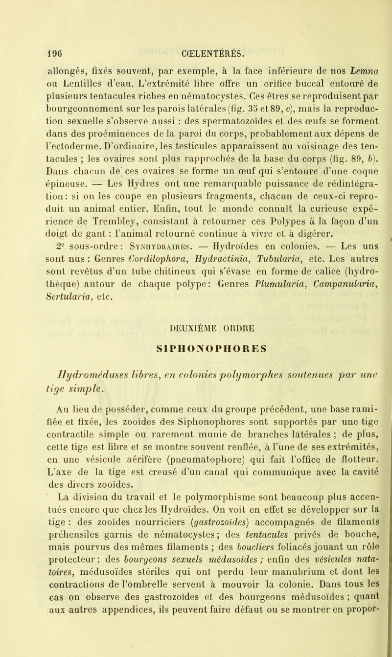 allongés, fixés souvent, par exemple, à la face inférieure de nos Lemna ou Lentilles d’eau. L’extrémité libre offre un orifice buccal entouré de plusieurs tentacules riches en nématocystes. Ces êtres se reproduisent par bourgeonnement sur les parois latérales (fig. 35 et 89, c), mais la reproduc- tion sexuelle s’observe aussi : des spermatozoïdes et des œufs se forment dans des proéminences de la paroi du corps, probablement aux dépens de l’ectoderme. D’ordinaire, les testicules apparaissent au voisinage des ten- tacules ; les ovaires sont plus rapprochés de la base du corps (fig. 89, b). Dans chacun de^ ces ovaires se forme un œuf qui s’entoure d’une coque épineuse. — Les Hydres ont une remarquable puissance de rédintégra- tion: si on les coupe en plusieurs fragments, chacun de ceux-ci repro- duit un animal entier. Enfin, tout le monde connaît la curieuse expé- rience de Trembley, consistant à retourner ces Polypes à la façon d’un doigt de gant : l’animal retourné continue à vivre et à digérer. 2e sous-ordre : Synhydraires. — Hydroïdes en colonies. — Les uns sont nus : Genres Cordilophora, Hydractinia, Tubularia, etc. Les autres sont revêtus d’un tube chitineux qui s’évase en forme de calice (hydro- thèque) autour de chaque polype: Genres Plumulciria, Campanularia, Sertularia, etc. DEUXIÈME ORDRE SIPHONOPHORES Hydroméduses libres, en colonies polymorphes soutenues par une tige simple. Au lieu de posséder, comme ceux du groupe précédent, une base rami- fiée et fixée, les zooïdes des Siphonophores sont supportés par une tige contractile simple ou rarement munie de branches latérales ; de plus, cette tige est libre et se montre souvent renflée, à l’une de ses extrémités, en une vésicule aérifère (pneumatophore) qui fait l’office de flotteur. L’axe de la tige est creusé d’un canal qui communique avec la cavité des divers zooïdes. La division du travail et le polymorphisme sont beaucoup plus accen- tués encore que chez les Hydroïdes. On voit en effet se développer sur la tige : des zooïdes nourriciers (gastrozoïdes) accompagnés de filaments préhensiles garnis de nématocystes ; des tentacules privés de bouche, mais pourvus des mêmes filaments ; des boucliers foliacés jouant un rôle protecteur ; des bourgeons sexuels médusoïdes ; enfin des vésicules nata- toires, médusoïdes stériles qui ont perdu leur manubrium et dont les contractions de l’ombrelle servent à mouvoir la colonie. Dans tous les cas on observe des gastrozoïdes et des bourgeons médusoïdes ; quant aux autres appendices, ils peuvent faire défaut ou se montrer en propor-