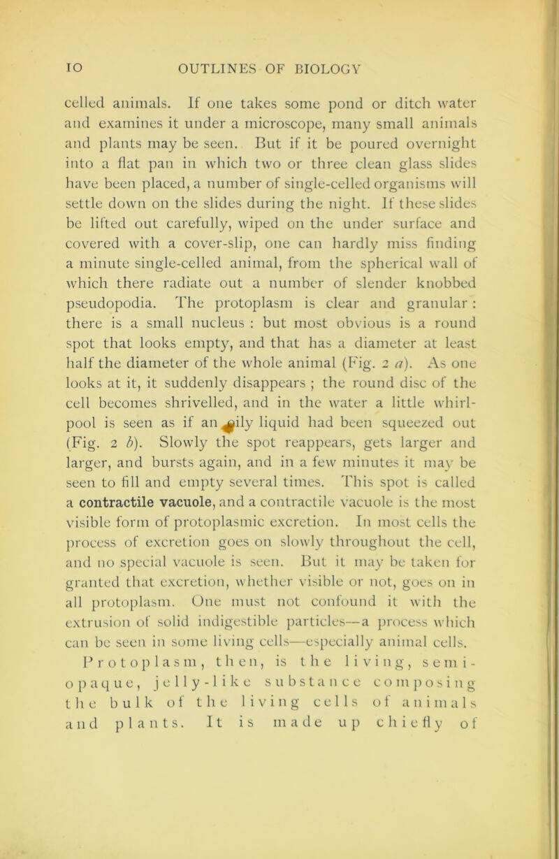 celled animals. If one takes some pond or ditch water and examines it under a microscope, many small animals and plants may be seen. But if it be poured overnight into a flat pan in which two or three clean glass slides have been placed, a number of single-celled organisms will settle down on the slides during the night. If these slides be lifted out carefully, wiped on the under surface and covered with a cover-slip, one can hardly miss finding a minute single-celled animal, from the spherical wall of which there radiate out a number of slender knobbed pseudopodia. The protoplasm is clear and granular : there is a small nucleus : but most obvious is a round spot that looks empty, and that has a diameter at least half the diameter of the whole animal (Fig. 2 a). As one looks at it, it suddenly disappears ; the round disc of the cell becomes shrivelled, and in the water a little whirl- pool is seen as if an^ily liquid had been squeezed out (Fig. 2 b). Slowly the spot reappears, gets larger and larger, and bursts again, and in a few minutes it ma}- be seen to fill and empty sev^eral times. This spot is called a contractile vacuole, and a contractile vacuole is the most visible form of protoplasmic excretion. In most cells the process of excretion goes on slowly throughout the cell, and no special vacuole is seen. But it may be taken for granted that excretion, whether visible or not, goes on in all protoplasm. One must not confound it with the extrusion of solid indigestible particles—a process which can be seen in some living cells—especially animal cells. Protoplasm, then, is the living, s e mi- o p a q u e , jelly-like substance c o m ji o s i n g the bulk of the living cells of animals and plants. It is made up c h i e fl y of