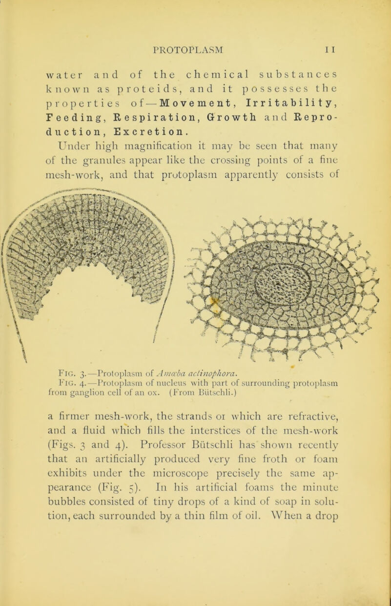 water and of the chemical substances known as p r o t e i d s , and it possesses t li e projrerties of — Movement, Irritability, Feeding, Respiration, Growth and Repro- duction, Excretion. Under high magnification it may be seen that many of tlie granules appear like the crossing points of a fine mesh-work, and that protoplasm apparently consists of Fio. 3.—Protoplasm oi Ania'ba aclinophora. Pig. 4. — Protoplasm of nucleus \s ith part of surrounding protoplasm from ganglion cell of an ox. (Prom Putschli.) a firmer mesh-work, the strands 01 which are refractive, and a fluid which fills the interstices of the mesh-work (Figs. 3 and 4). Professor ISutschli has shown recently that ati artificially produced very fine froth or foam exhibits under the microscope precisely the same ap- pearance (Fig. 5). In his artificial foams the minute bubbles consisted of tiny drops of a kind of soap in solu- tion, each surrounded by a thin film of oil. When a drop
