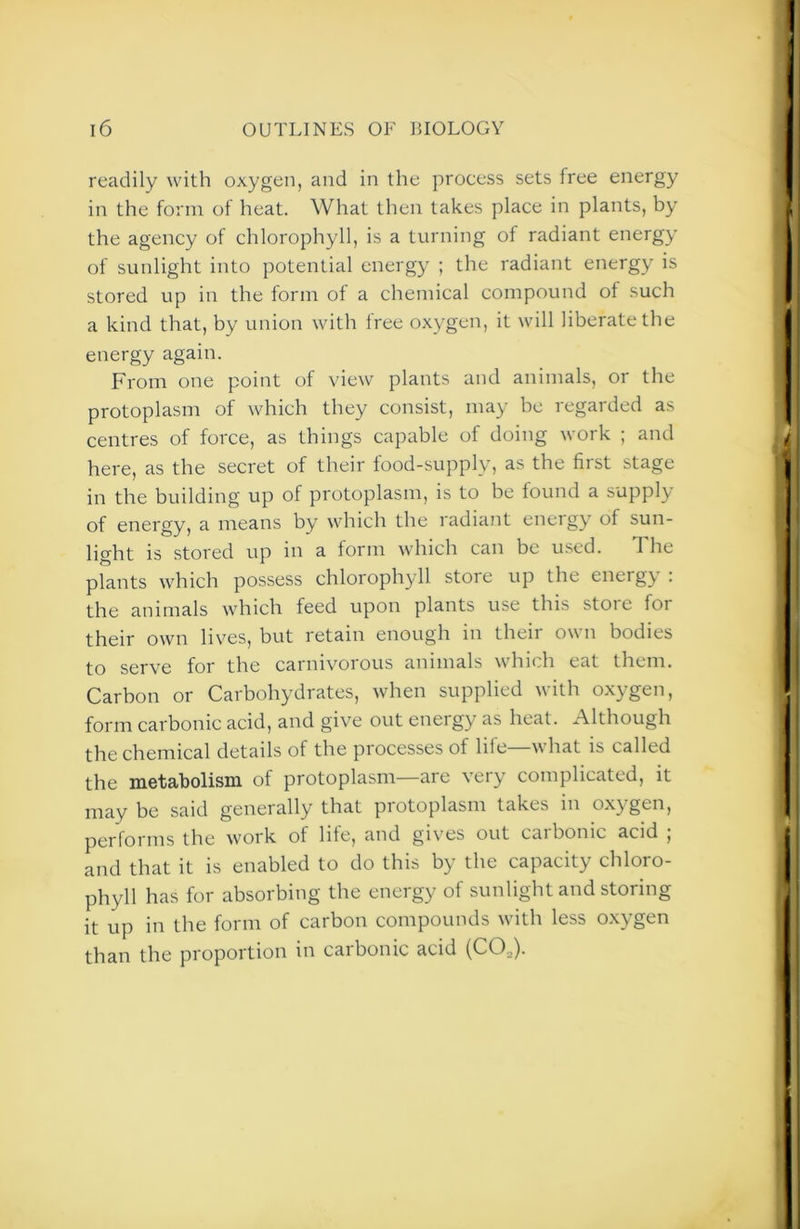 readily with oxygen, and in the process sets free energy in the form of heat. What then takes place in plants, by the agency of chlorophyll, is a turning of radiant energy of sunlight into potential energy ; the radiant energy is stored up in the form of a chemical compound of such a kind that, by union with free oxygen, it will liberate the energy again. From one point of view plants and animals, or the protoplasm of which they consist, may be regarded as centres of force, as things capable of doing work ; and here, as the secret of their food-supply, as the first stage in the building up of protoplasm, is to be found a supply of energy, a means by which the radiant energy of sun- light is stored up in a form which can be used. The plants which possess chlorophyll store up the energy . the animals which feed upon plants use this store for their own lives, but retain enough in their own bodies to serve for the carnivorous animals which eat them. Carbon or Carbohydrates, when supplied with oxygen, form carbonic acid, and give out energy as heat. Although the chemical details of the processes of life what is called the metaholism of protoplasm—are very complicated, it may be said generally that protoplasm takes in oxygen, performs the work of lite, and gives out cai bonic acid , and that it is enabled to do this by the capacity chloro- phyll has for absorbing the energy of sunlight and storing it up in the form of carbon compounds with less oxygen than the proportion in carbonic acid (CO,).