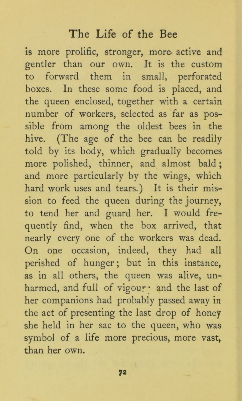 is more prolific, stronger, mor& active and gentler than our own. It is the custom to forward them in small, perforated boxes. In these some food is placed, and the queen enclosed, together with a certain number of workers, selected as far as pos- sible from among the oldest bees in the hive. (The age of the bee can be readily told by its body, which gradually becomes more polished, thinner, and almost bald; and more particularly by the wings, which hard work uses and tears.) It is their mis- sion to feed the queen during the journey, to tend her and guard her. I would fre- quently find, when the box arrived, that nearly every one of the workers was dead. On one occasion, indeed, they had all perished of hunger; but in this instance, as in all others, the queen was alive, un- harmed, and full of vigour' and the last of her companions had probably passed away in the act of presenting the last drop of honey she held in her sac to the queen, who was symbol of a life more precious, more vast, than her own.