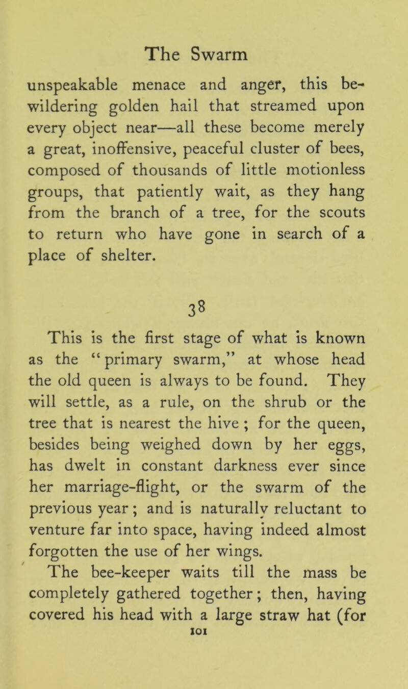 unspeakable menace and anger, this be- wildering golden hail that streamed upon every object near—all these become merely a great, inoffensive, peaceful cluster of bees, composed of thousands of little motionless groups, that patiently wait, as they hang from the branch of a tree, for the scouts to return who have gone in search of a place of shelter. 38 This is the first stage of what is known as the “ primary swarm,” at whose head the old queen is always to be found. They will settle, as a rule, on the shrub or the tree that is nearest the hive ; for the queen, besides being weighed down by her eggs, has dwelt in constant darkness ever since her marriage-flight, or the swarm of the previous year; and is naturally reluctant to venture far into space, having indeed almost forgotten the use of her wings. The bee-keeper waits till the mass be completely gathered together; then, having covered his head with a large straw hat (for