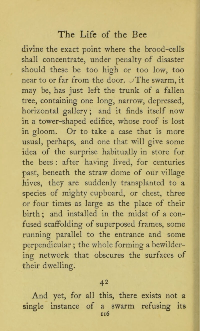 divine the exact point where the brood-cells shall concentrate, under penalty of disaster should these be too high or too low, too near to or far from the door. ^The swarm, it may be, has just left the trunk of a fallen tree, containing one long, narrow, depressed, horizontal gallery; and it finds itself now in a tower-shaped edifice, whose roof is lost in gloom. Or to take a case that is more usual, perhaps, and one that will give some idea of the surprise habitually in store for the bees : after having lived, for centuries past, beneath the straw dome of our village hives, they are suddenly transplanted to a species of mighty cupboard, or chest, three or four times as large as the place of their birth; and installed in the midst of a con- fused scaffolding of superposed frames, some running parallel to the entrance and some perpendicular; the whole forming a bewilder- ing network that obscures the surfaces of their dwelling. 42 And yet, for all this, there exists not a single instance of a swarm refusing its