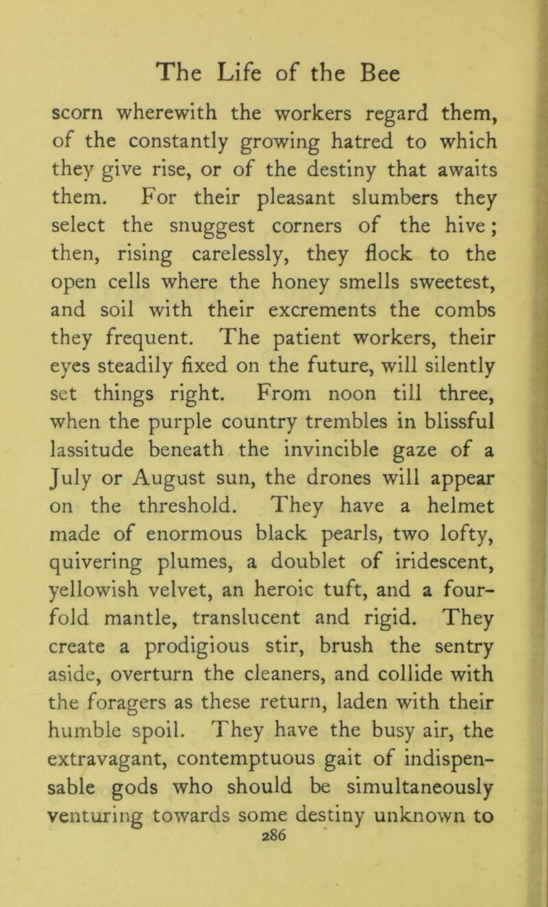 scorn wherewith the workers regard them, of the constantly growing hatred to which they give rise, or of the destiny that awaits them. For their pleasant slumbers they select the snuggest corners of the hive; then, rising carelessly, they flock to the open cells where the honey smells sweetest, and soil with their excrements the combs they frequent. The patient workers, their eyes steadily fixed on the future, will silently set things right. From noon till three, when the purple country trembles in blissful lassitude beneath the invincible gaze of a July or August sun, the drones will appear on the threshold. They have a helmet made of enormous black pearls, two lofty, quivering plumes, a doublet of iridescent, yellowish velvet, an heroic tuft, and a four- fold mantle, translucent and rigid. They create a prodigious stir, brush the sentry aside, overturn the cleaners, and collide with the foragers as these return, laden with their humble spoil. They have the busy air, the extravagant, contemptuous gait of indispen- sable gods who should be simultaneously venturing towards some destiny unknown to