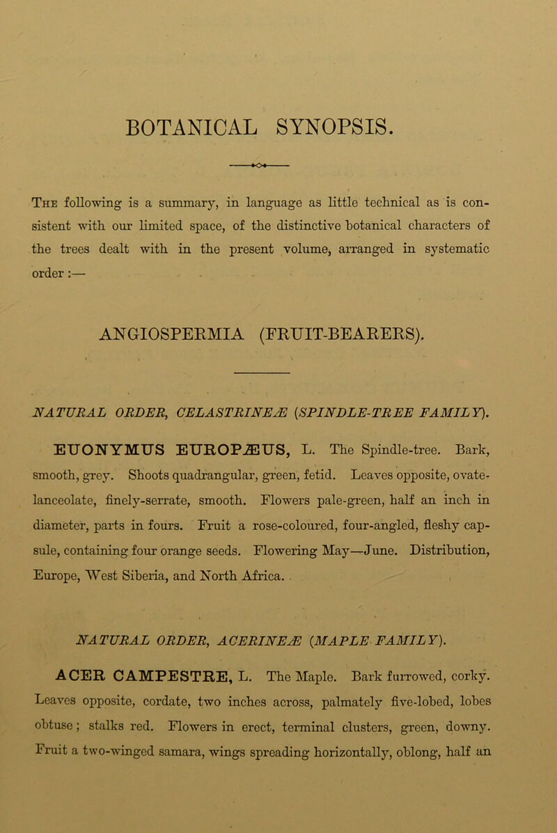 BOTANICAL SYNOPSIS. KX The following is a summary, in language as little technical as is con- sistent with our limited space, of the distinctive botanical characters of the trees dealt with in the present volume, arranged in systematic order:— ANGIOSPERMIA (FRUIT-BEARERS). NATURAL ORDER, CEL A STRINEvE [SPINDLE-TREE FAMILY). ETJONYMUS EUROP2EUS, L. The Spindle-tree. Bark, smooth, grey. Shoots quadrangular, green, fetid. Leaves opposite, ovate- lanceolate, finely-serrate, smooth. Flowers pale-green, half an inch in diameter, parts in fours. Fruit a rose-coloured, four-angled, fleshy cap- sule, containing four orange seeds. Flowering May—June. Distribution, Europe, West Siberia, and North Africa. . NATURAL ORDER, ACERINE/E {MAPLE FAMILY). ACER CAMPESTRE, L. The Maple. Bark furrowed, corky. Leaves opposite, cordate, two inches across, palmately five-lobed, lobes obtuse; stalks red. Flowers in erect, terminal clusters, green, downy. Fruit a two-winged samara, wings spreading horizontally, oblong, half an