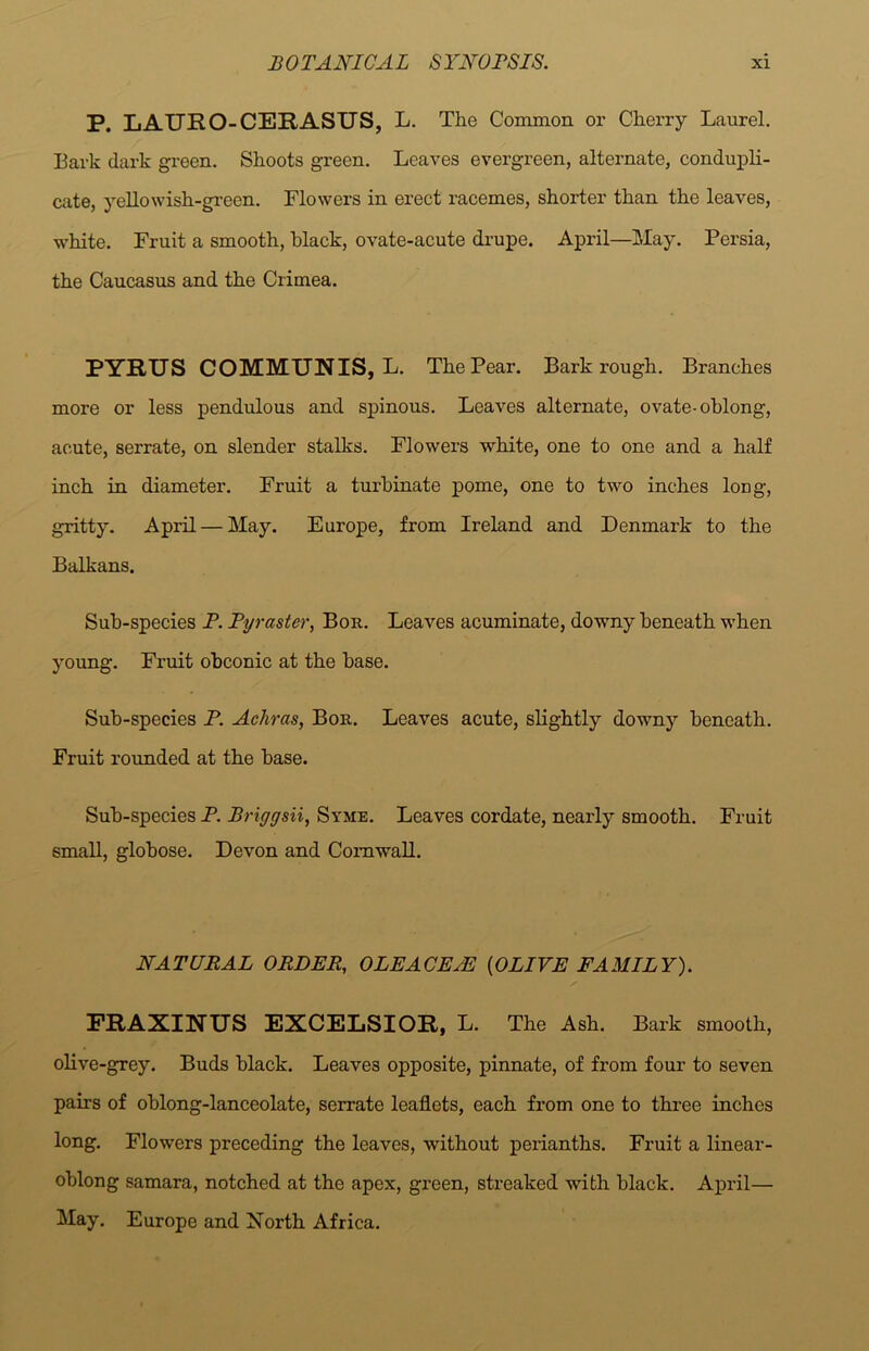 P. LAUK O-CERASUS, L. The Common ox- Cherry Laurel. Bark dark gi-een. Shoots green. Leaves evergreen, alternate, condupli- cate, yellowish-green. Flowers in erect racemes, shorter than the leaves, white. Fruit a smooth, black, ovate-acute drupe. Api'il—May. Persia, the Caucasus and the Crimea. PYRUS COMMUNIS, L. The Pear. Bark rough. Branches more or less pendulous and spinous. Leaves alternate, ovate-oblong, acute, serrate, on slender stalks. Flowers white, one to one and a half inch in diameter. Fruit a turbinate pome, one to two inches long, gritty. April — May. Europe, from Ireland and Denmark to the Balkans. Sub-species P. Pyraster, Bor. Leaves acuminate, downy beneath when young. Fruit obconic at the base. Sub-species P. Acliras, Bor. Leaves acute, slightly downy beneath. Fruit l-ounded at the base. Sub-species P. Brigysii, Syme. Leaves cordate, nearly smooth. Fruit small, globose. Devon and Cornwall. NATURAL ORDER, OLE A CEPE (OLIVE FAMILY). PRAXINUS EXCELSIOR, L. The Ash. Bark smooth, olive-grey. Buds black. Leaves opposite, pinnate, of from four to seven pairs of oblong-lanceolate, serrate leaflets, each from one to three inches long. Flowers preceding the leaves, without perianths. Fruit a linear- oblong samara, notched at the apex, gx-een, streaked with black. April— May. Europe and North Africa.