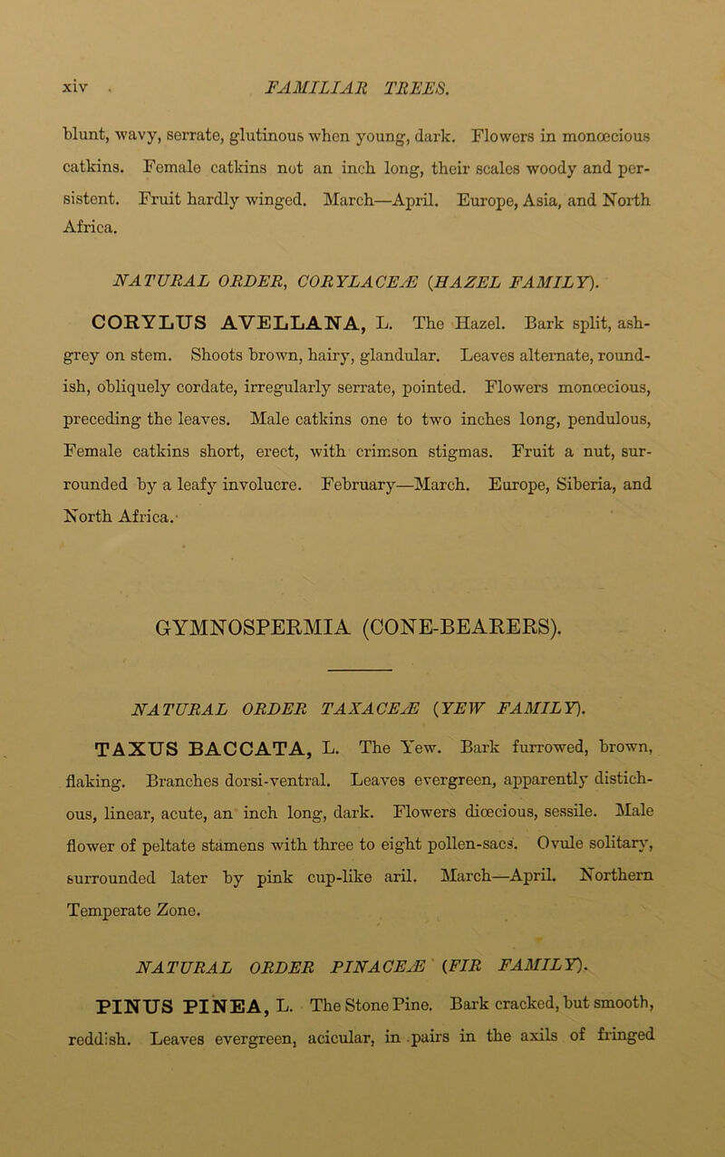 blunt, wavy, serrate, glutinous when young, dark. Flowers in monoecious catkins. Female catkins not an inch long, their scales woody and per- sistent. Fruit hardly winged. March—April. Europe, Asia, and North Africa. NATURAL ORDER, CORYLACEyE {HAZEL FAMILY). COEYLUS AVELLANA, L. The Hazel. Bark split, ash- grey on stem. Shoots brown, hairy, glandular. Leaves alternate, round- ish, obliquely cordate, irregularly serrate, pointed. Flowers monoecious, preceding the leaves. Male catkins one to two inches long, pendulous, Female catkins short, erect, with crimson stigmas. Fruit a nut, sur- rounded by a leafy involucre. February—March. Europe, Siberia, and North Africa.' GYMNOSPERMIA (CONE-BEARERS). NATURAL ORDER TAX ACE HI {YEW FAMILY). TAXUS BACCATA, L. The Y ew. Bark furrowed, brown, flaking. Branches dorsi-ventral. Leaves evergreen, apparently distich- ous, linear, acute, an inch long, dark. Flowers dioecious, sessile. Male flower of peltate stamens with three to eight pollen-sacs. Ovule solitary, surrounded later by pink cup-like aril. March—April. Northern Temperate Zone. NATURAL ORDER PINACEyE (FIR FAMILY). PINUS PINEA, L. The Stone Pine. Bark cracked, but smooth, reddish. Leaves evergreen, acicular, in pairs in the axils of fringed