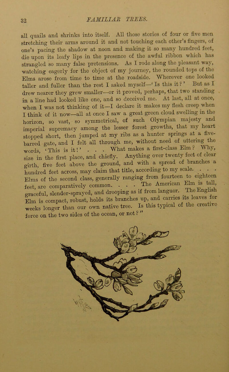 all quails and shrinks into itself. All those stories of four or five men stretching their arms around it and not touehing each other’s fingers, of one’s pacing the shadow at noon and making it so many hundred feet, die upon its leafy lips in the presence of the awful ribbon which has strangled so many false pretensions. As I rode along the pleasant way, watching eagerly for the object of my journey, the rounded tops of the Elms arose from time to time at the roadside. Wherever one looked taller and fuller than the rest I asked myself—' Is this it ? ’ But as I drew nearer they grew smaller—or it proved, perhaps, that two standing in a line had looked like one, and so deceived me. At last, all at once, when I was not thinking of it—I declare it makes my flesh creep when I think of it now—all at once I saw a great green cloud swelling in the horizon, so vast, so symmetrical, of such Olympian majesty and imperial supremacy among the lesser forest growths, that my heart stopped short, then jumped at my ribs as a hunter springs at a five- barred gate, and I felt all through me, without need of uttering the words ‘ This is it! ’ . . . What makes a first-class Elm ? Why, size in the first place, and chiefly. Anything over twenty feet of clear girth, five feet above the ground, and with a spread of branches a hundred feet across, may claim that title, according to my scale. . . - Elms of the second class, generally ranging from fourteen to eighteen feet, are comparatively common. . . . The American Elm is , graceful, slender-sprayed, and drooping as if from languor. The Eng s Elm is compact, robust, holds its branches up, and carries its leaves for weeks longer than our own native tree. Is this typical of the creative force on the two sides of the ocean, or not ?