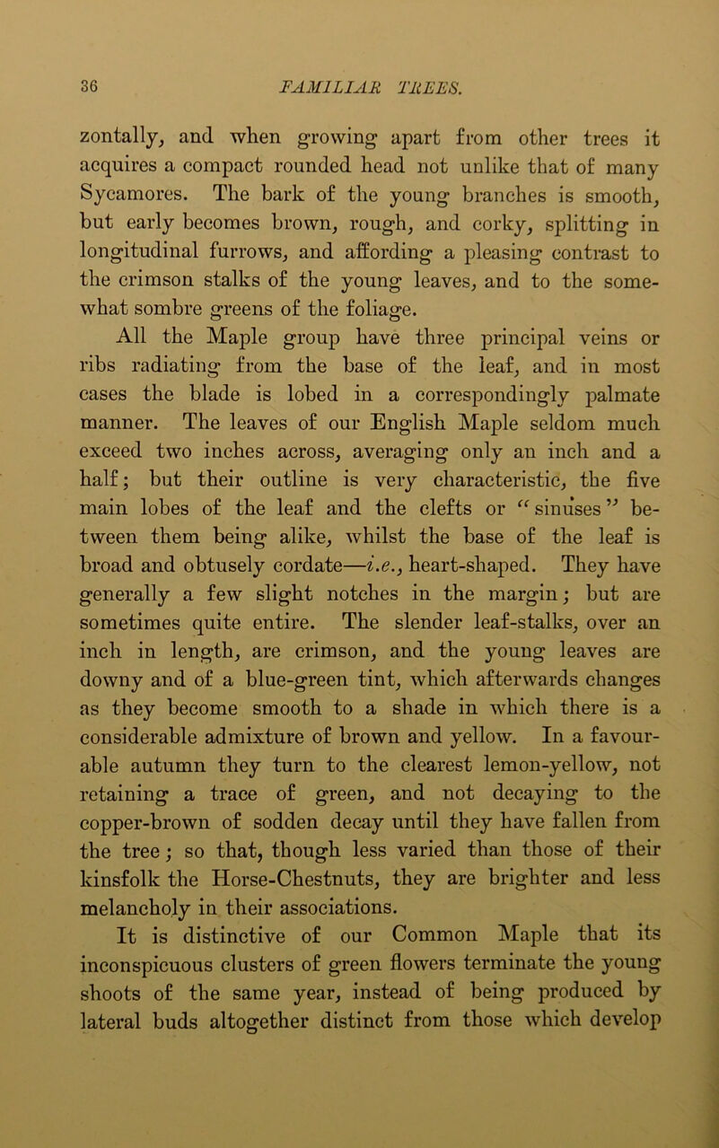 zontally, and when growing apart from other trees it acquires a compact rounded head not unlike that of many Sycamores. The bark of the young branches is smooth, but early becomes brown, rough, and corky, splitting in longitudinal furrows, and affording a pleasing contrast to the crimson stalks of the young leaves, and to the some- what sombre greens of the foliage. All the Maple group have three principal veins or ribs radiating from the base of the leaf, and in most cases the blade is lobed in a correspondingly palmate manner. The leaves of our English Maple seldom much exceed two inches across, averaging only an inch and a half; but their outline is very characteristic, the five main lobes of the leaf and the clefts or “ sinuses ” be- tween them being alike, whilst the base of the leaf is broad and obtusely cordate—i.e., heart-shaped. They have generally a few slight notches in the margin; but are sometimes quite entire. The slender leaf-stalks, over an inch in length, are crimson, and the young leaves are downy and of a blue-green tint, which afterwards changes as they become smooth to a shade in which there is a considerable admixture of brown and yellow. In a favour- able autumn they turn to the clearest lemon-yellow, not retaining a trace of green, and not decaying to the copper-brown of sodden decay until they have fallen from the tree; so that, though less varied than those of their kinsfolk the Horse-Chestnuts, they are brighter and less melancholy in their associations. It is distinctive of our Common Maple that its inconspicuous clusters of green flowers terminate the young shoots of the same year, instead of being produced by lateral buds altogether distinct from those which develop
